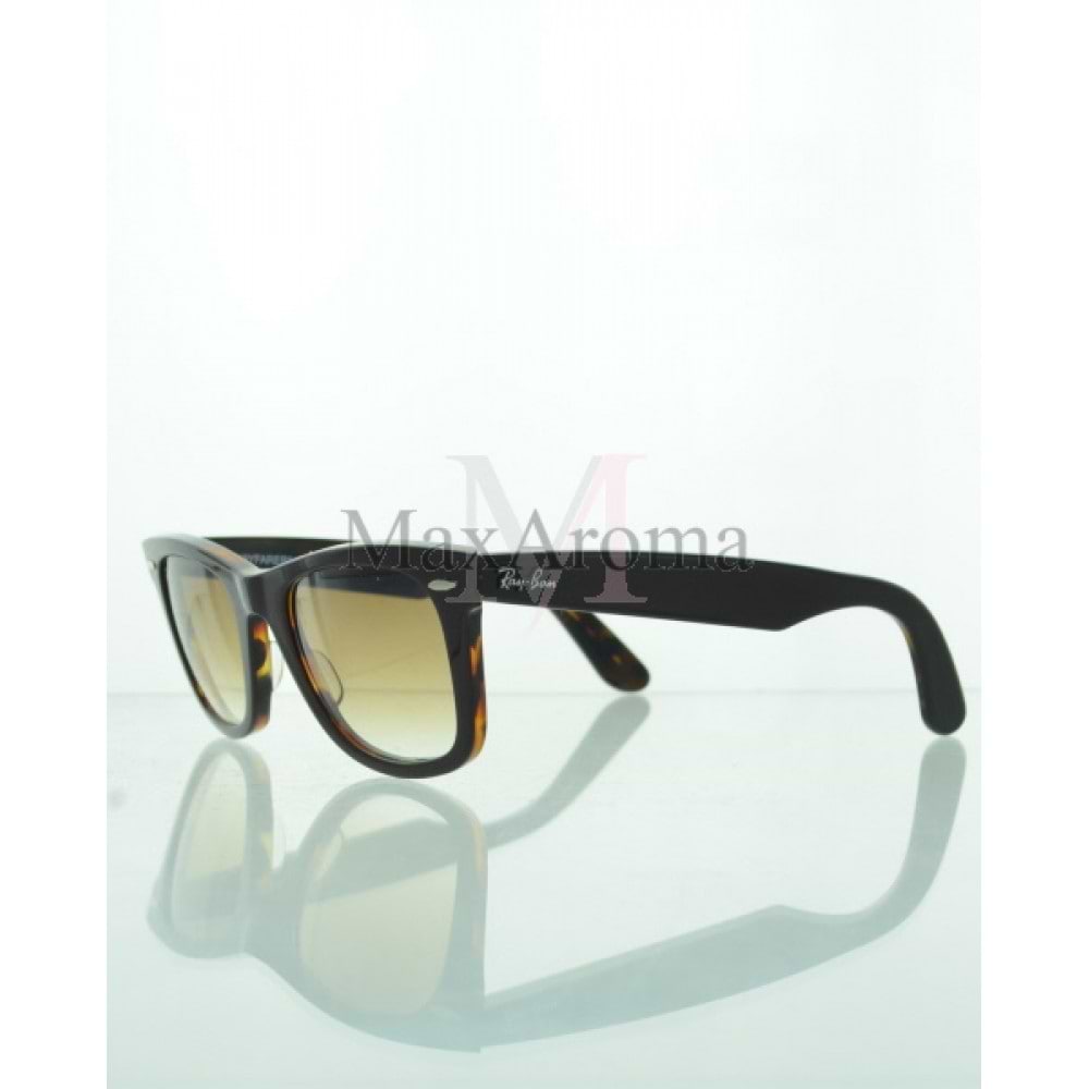 RB 2140 Sunglasses 