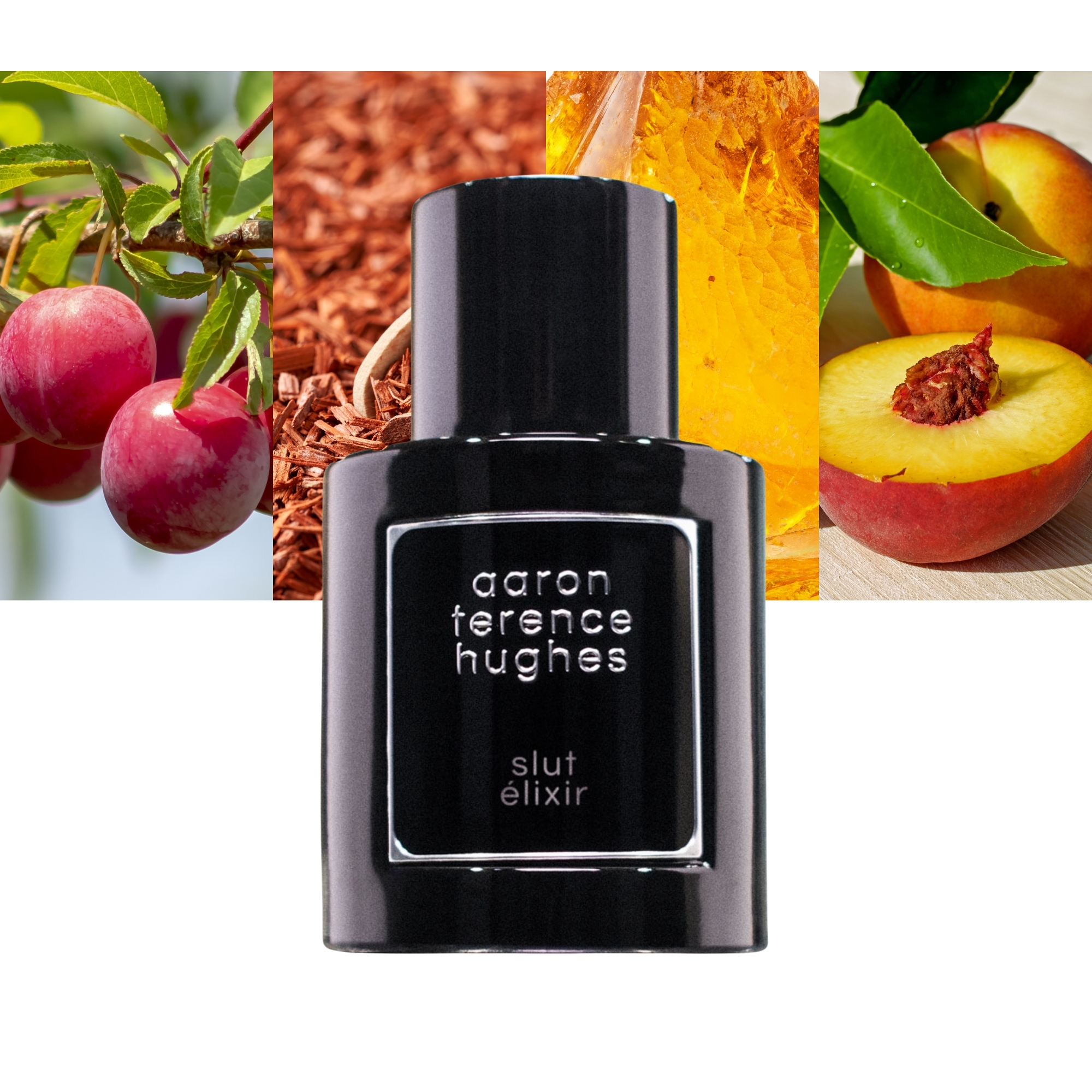 香水(ユニセックス) Aaron Terence Hughes SLUT ELIXIR 50ml Slut Élixir Aaron Terence Hughes perfume - a new fragrance