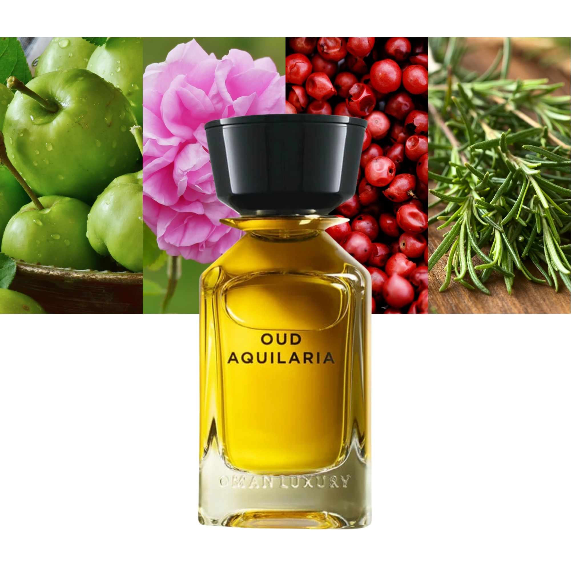 Oud Aquilaria
