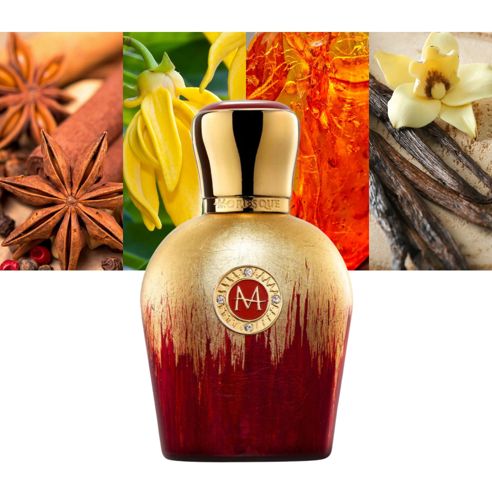 Art Collection Contessa