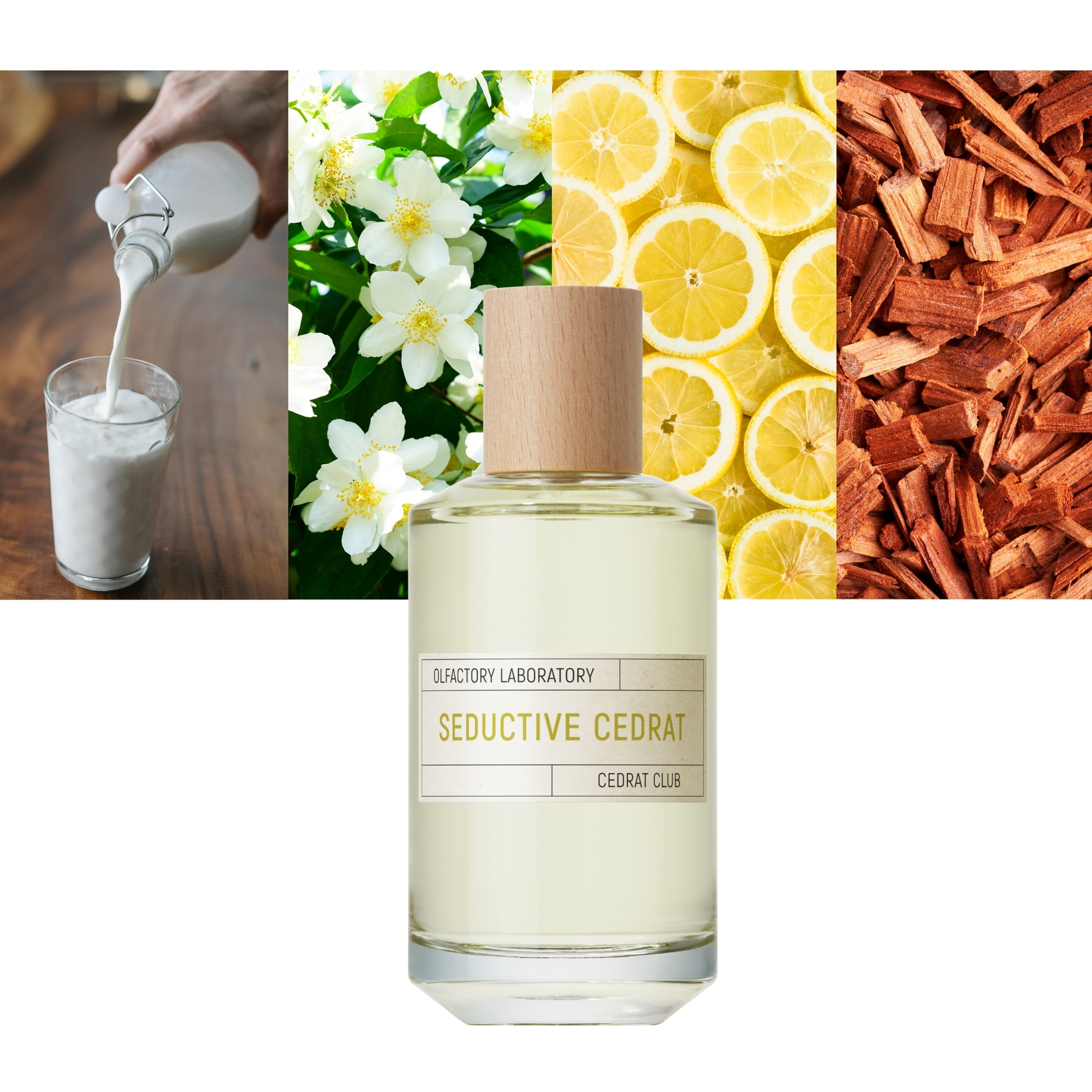 Seductive Cedrat