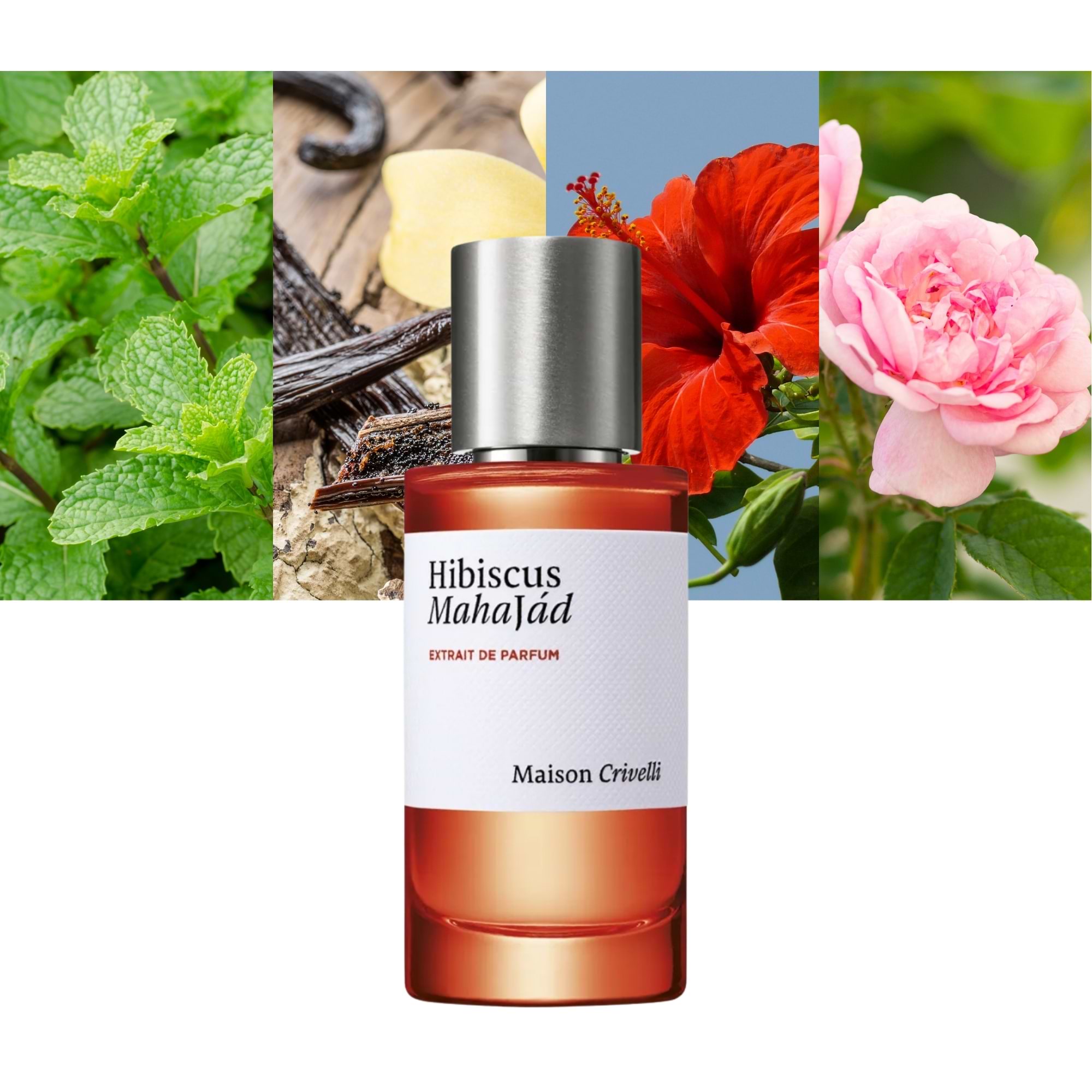 Hibiscus Mahajád エクストレド パルファム 50ml Hibiscus Mahajad Extrait by Maison Crivelli