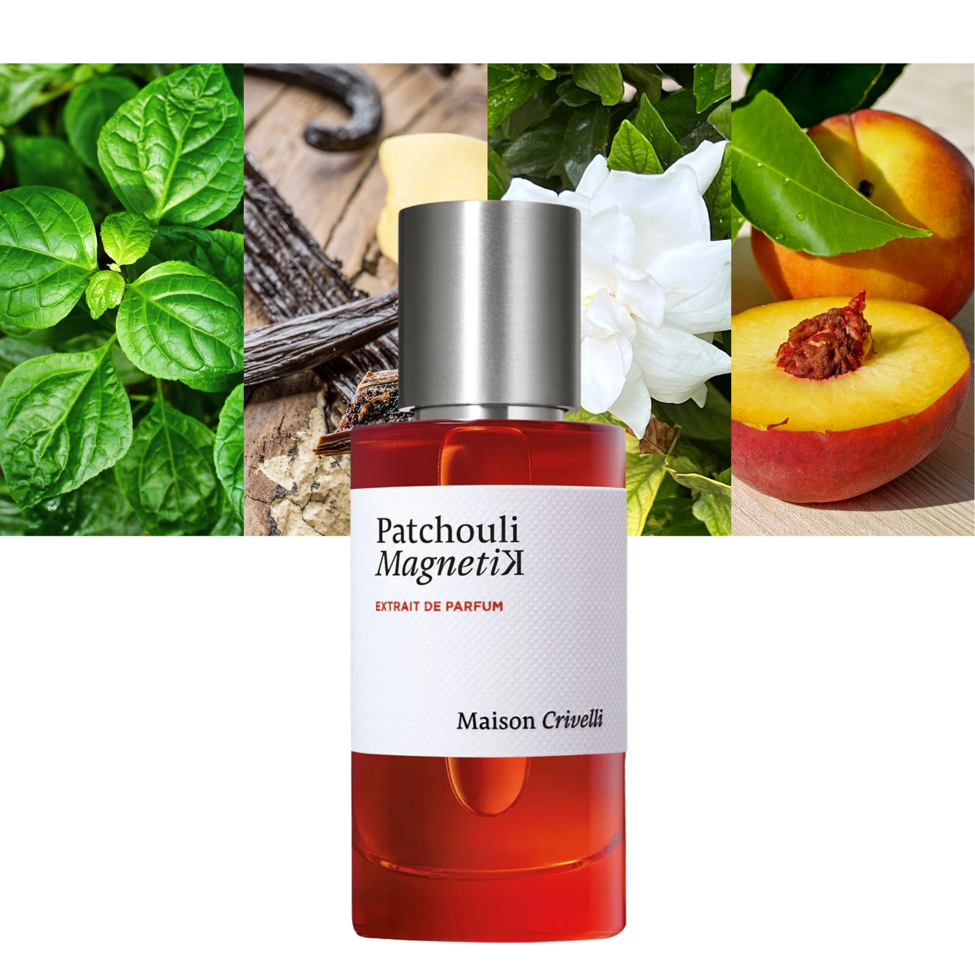 Patchouli Magnetik 