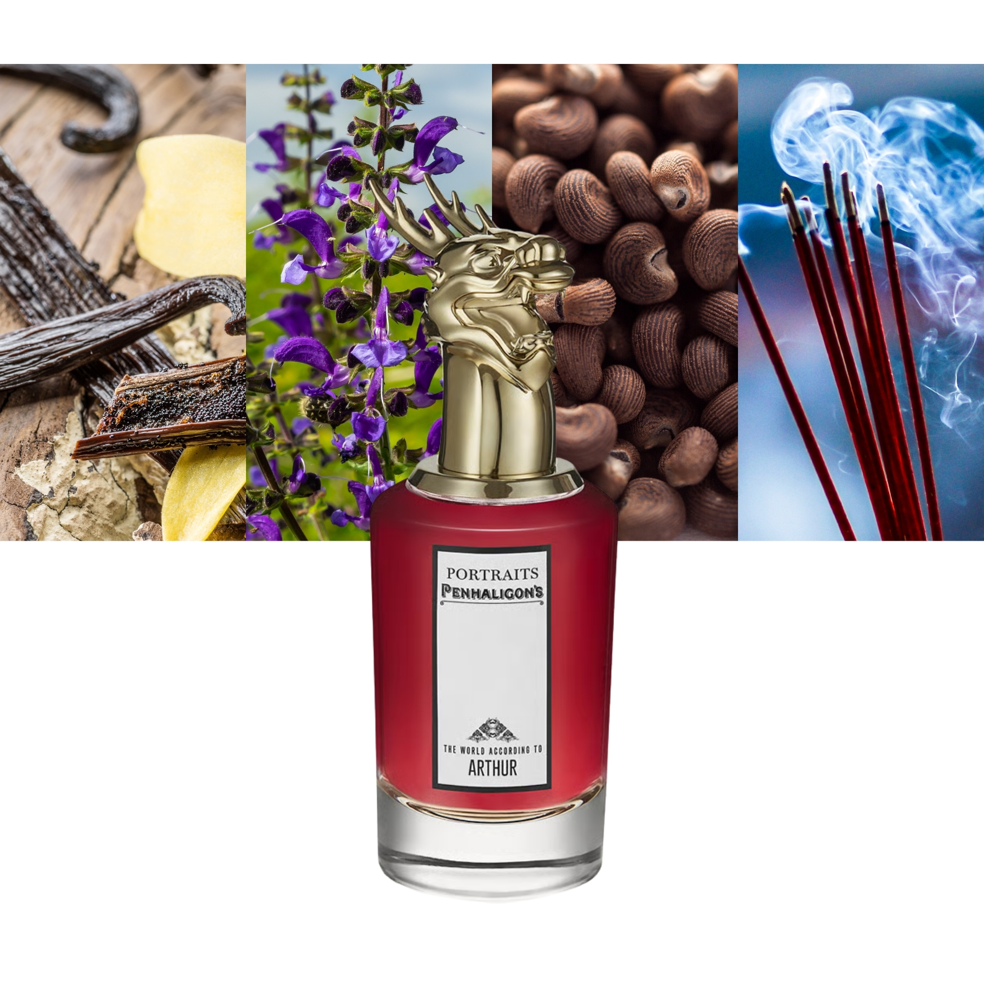 The World According to Arthur