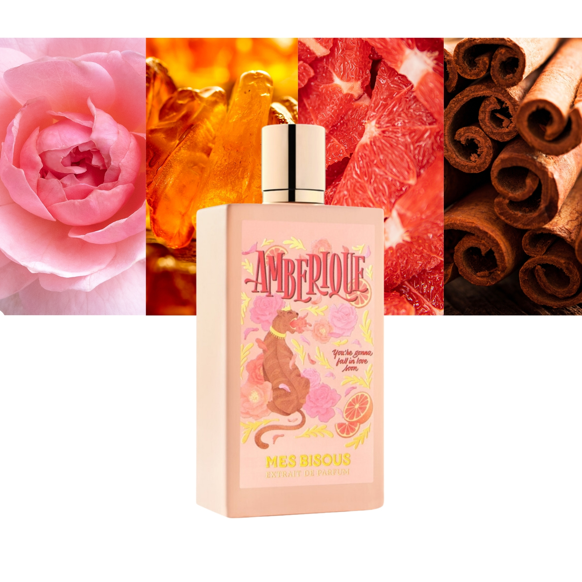 Amberique