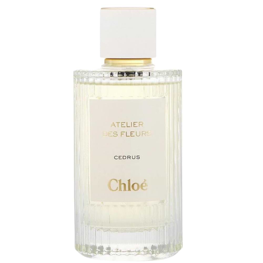 Atelier des Fleurs Cedrus
