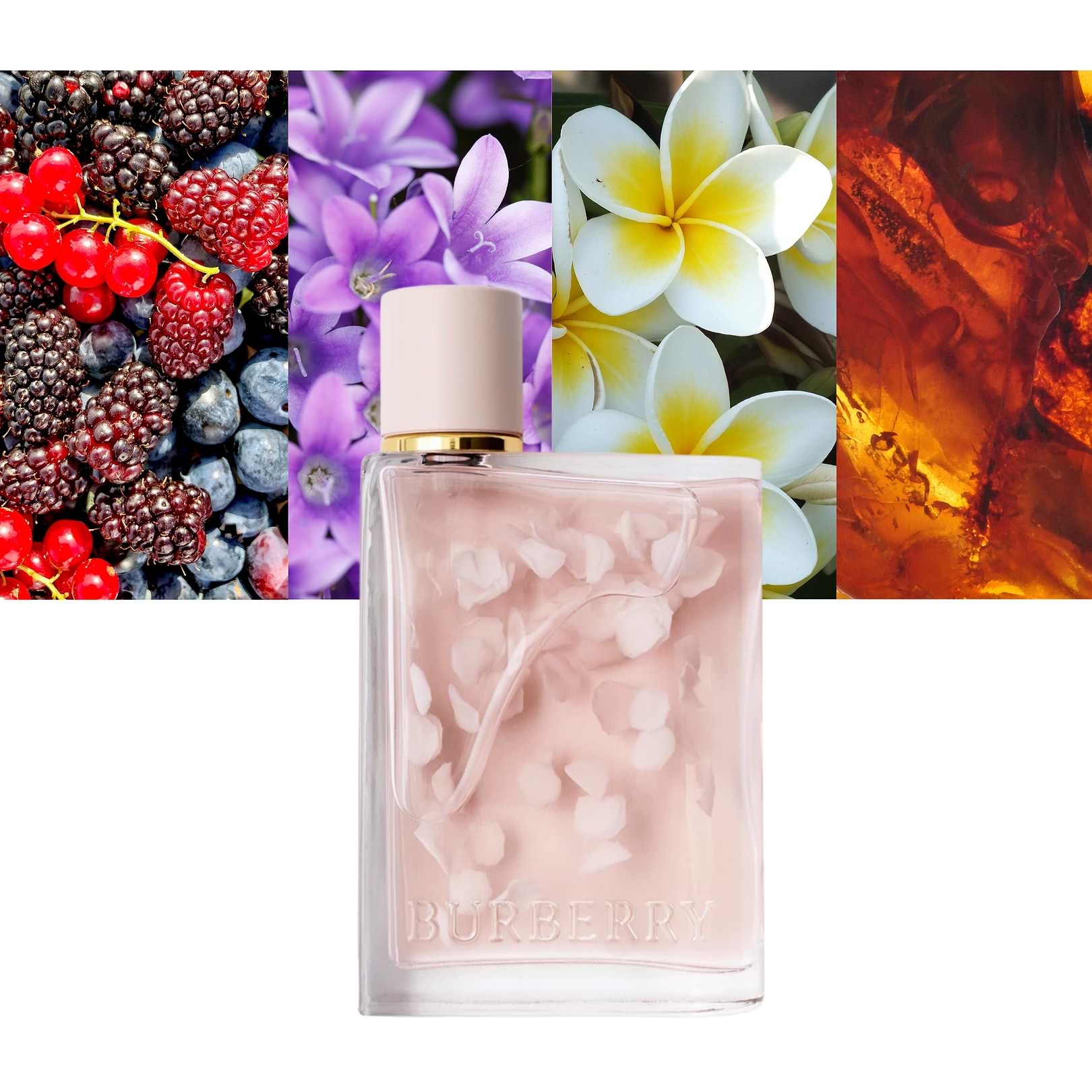 Her Petals Limited Edition