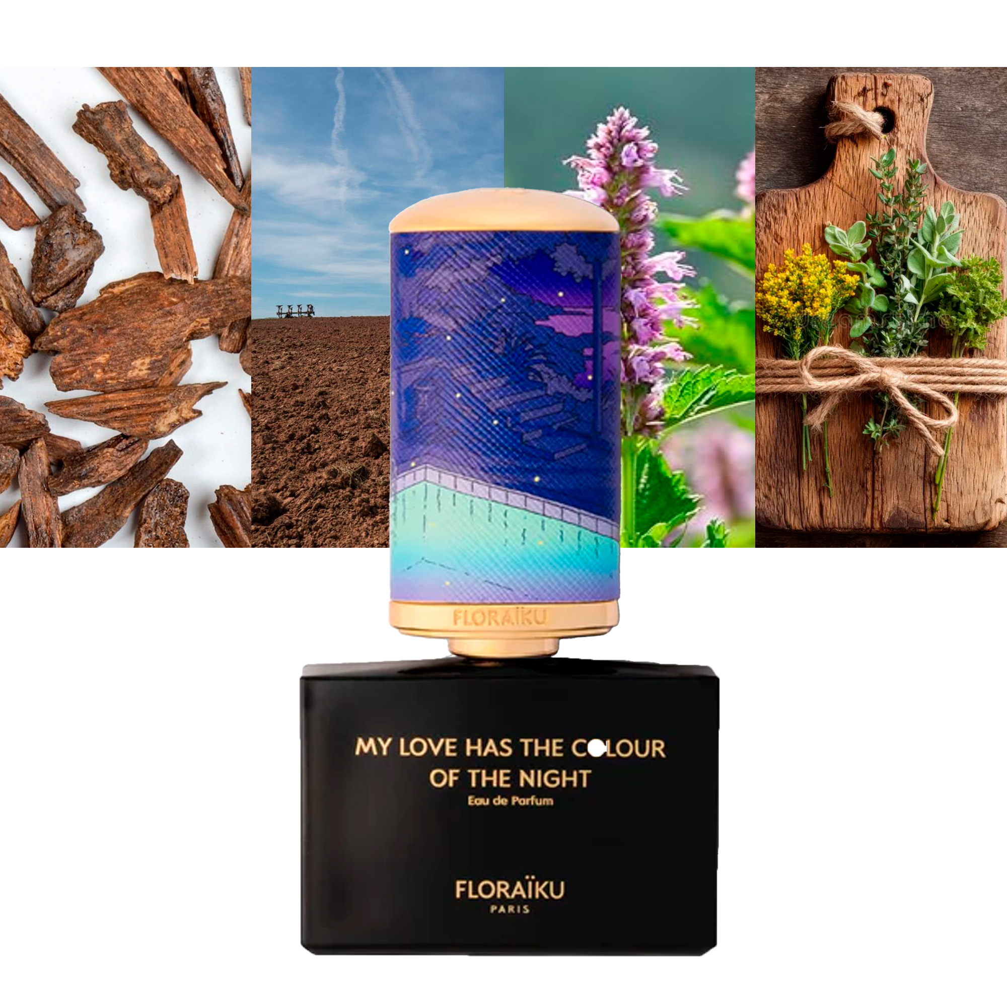 My Love Has the Color of the Night