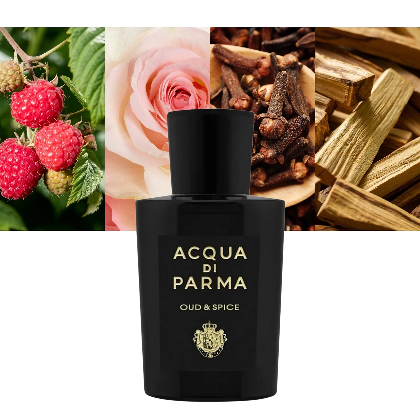 Oud and Spice