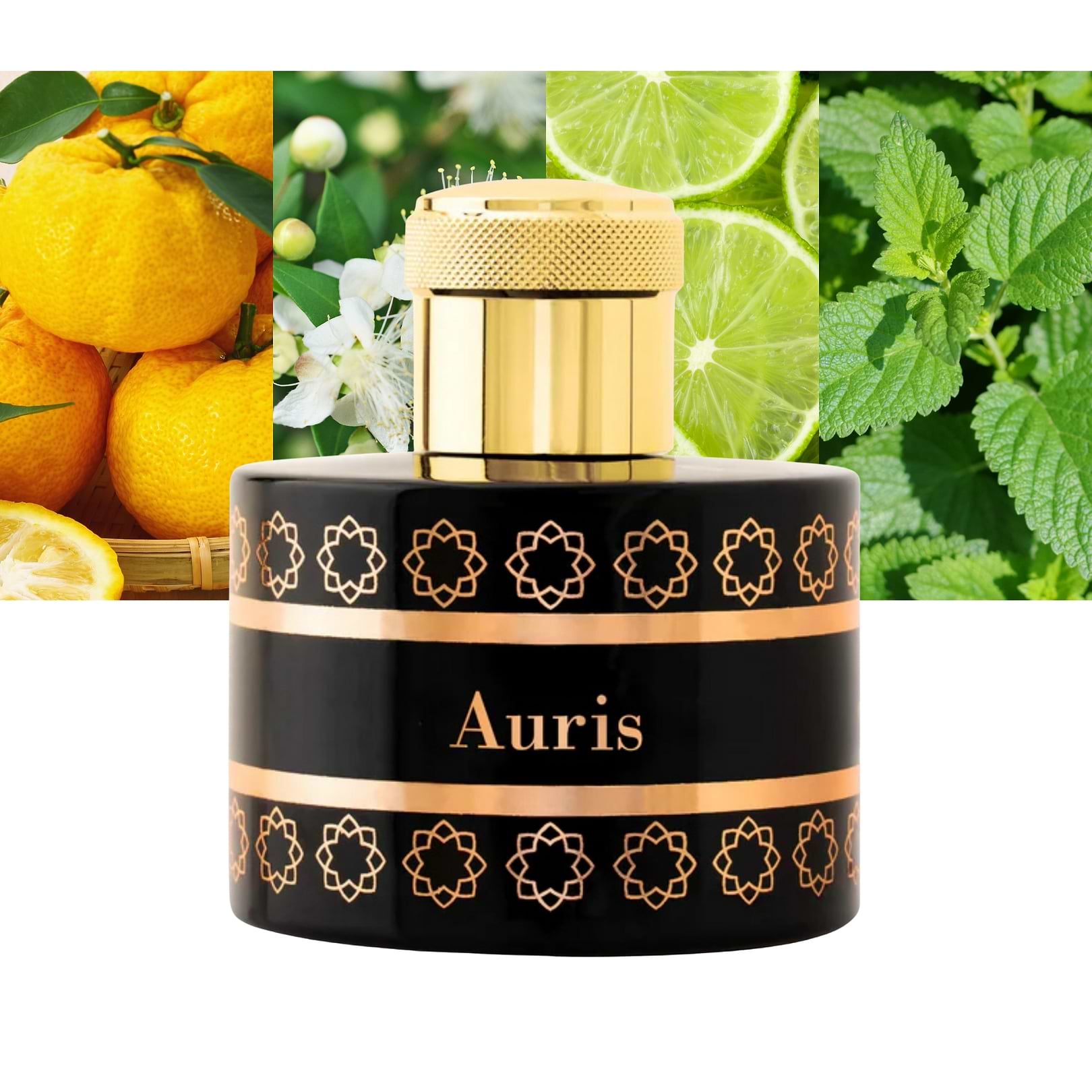 Auris