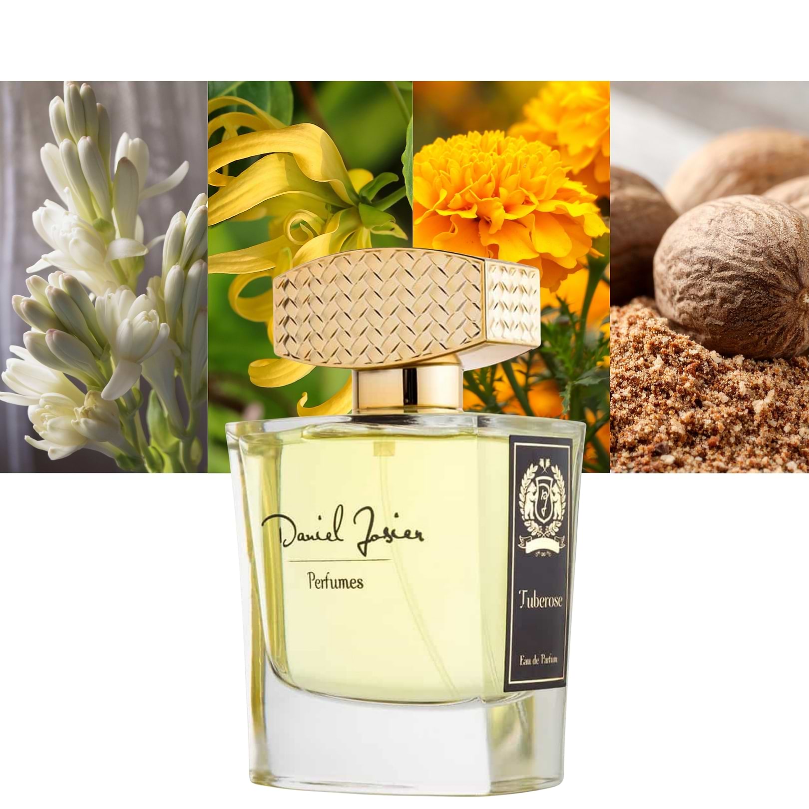 Tuberose