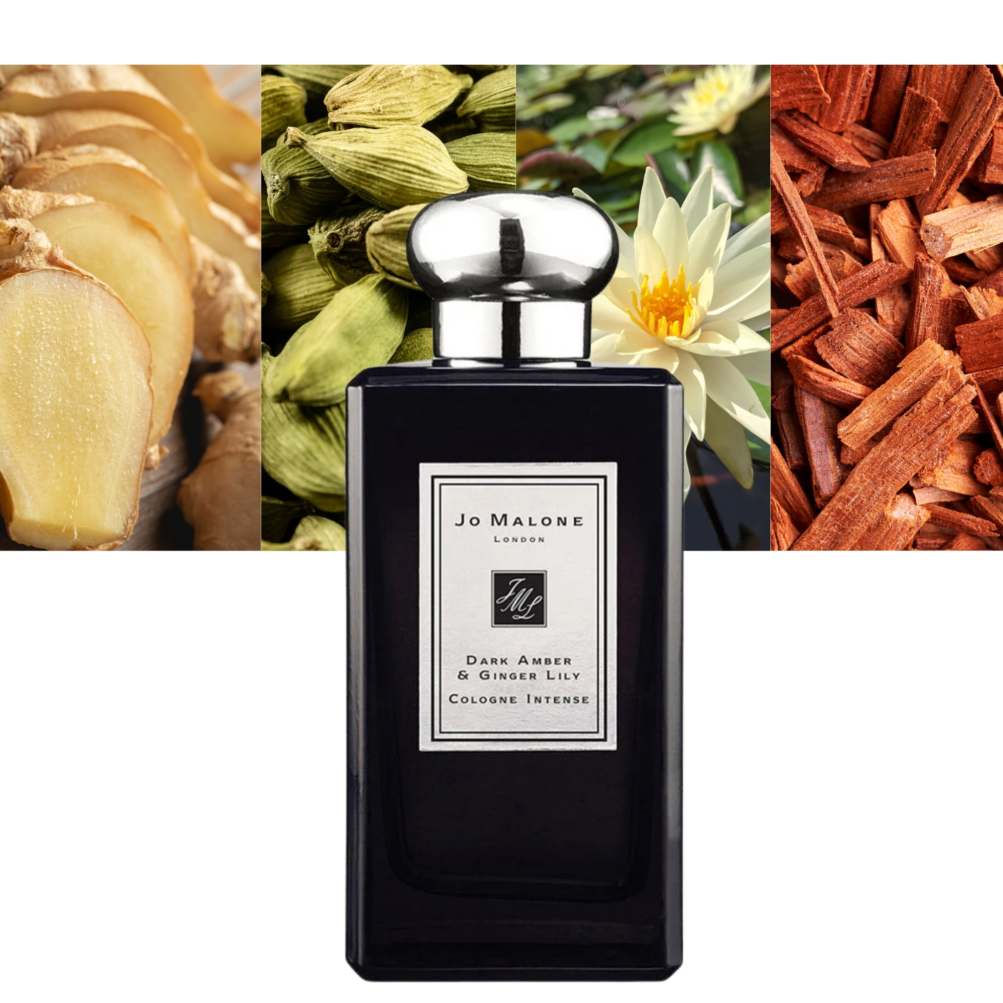 Dark Amber and Ginger Lily