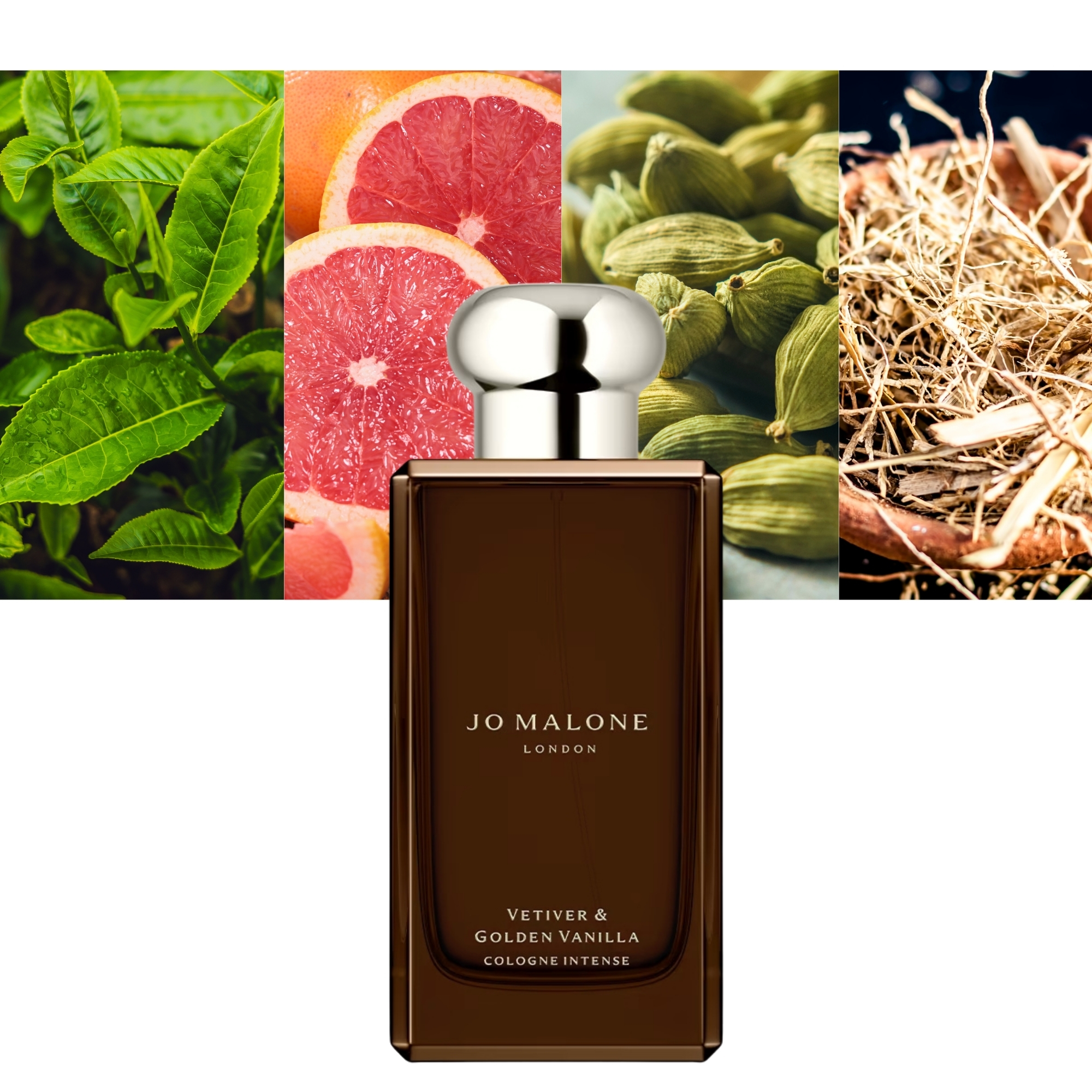 Vetiver and Golden Vanilla Cologne Intense