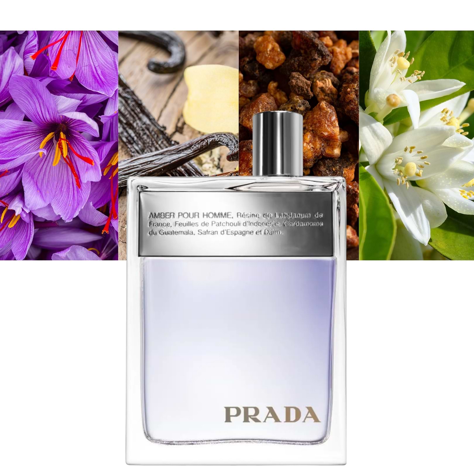 Prada Amber