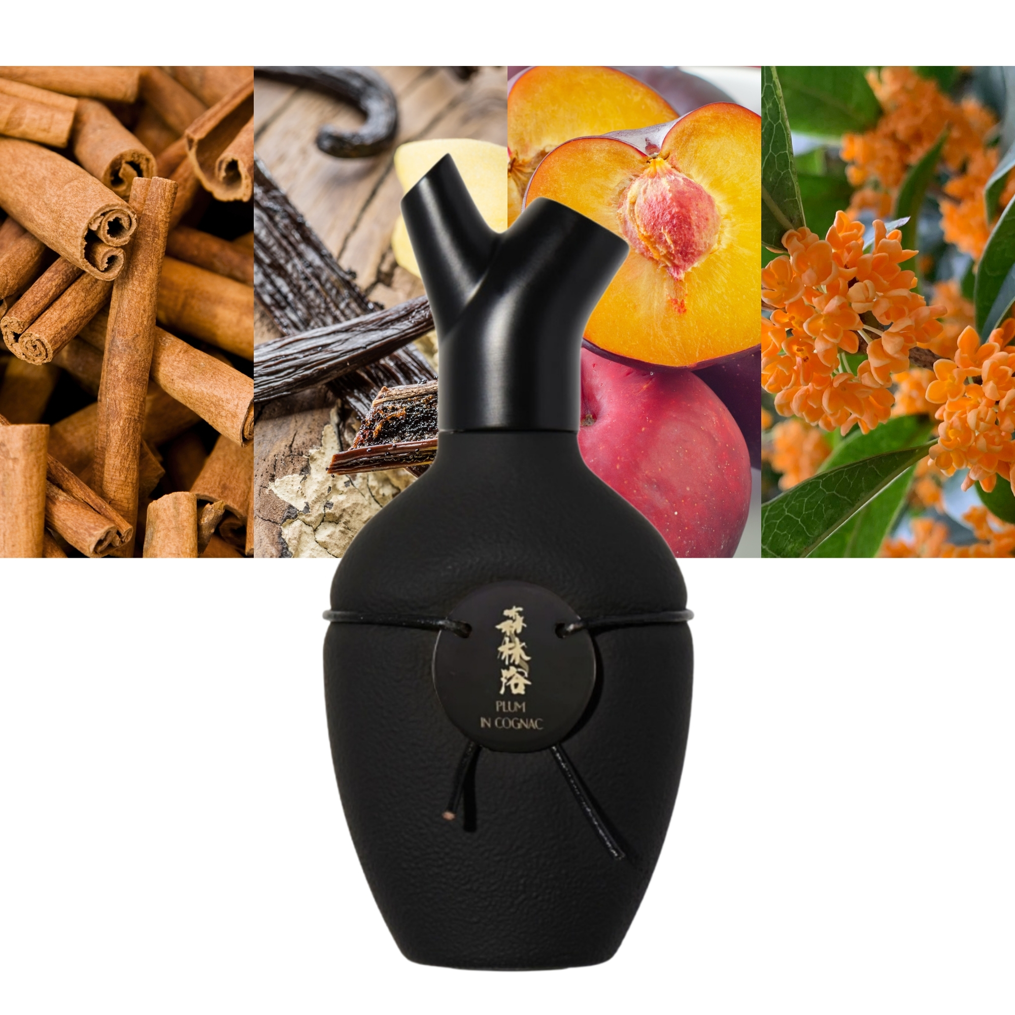 Plum in Cognac Vintage 2024