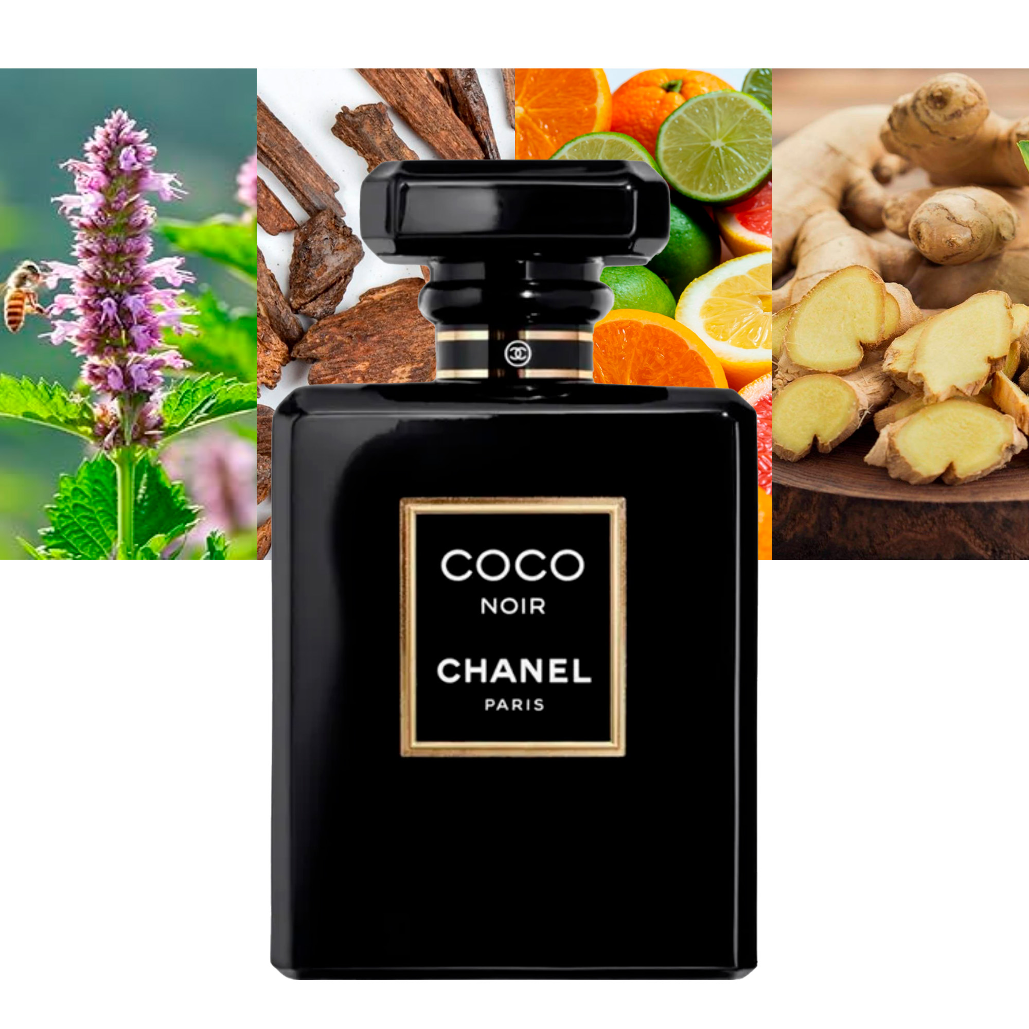 Coco Noir 