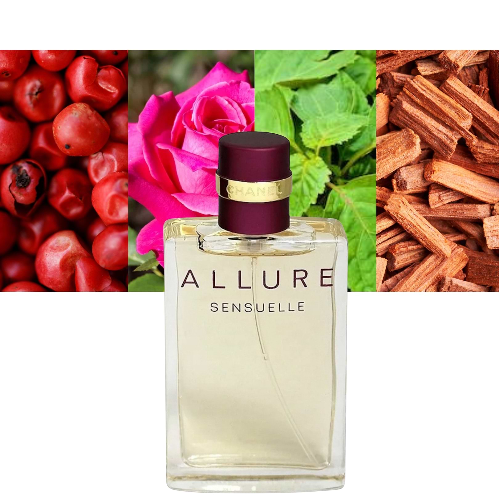 Allure Sensuelle