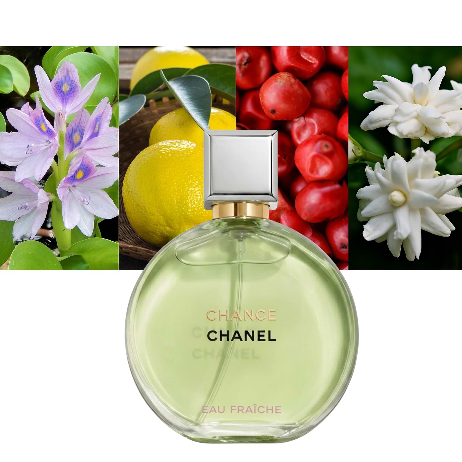 Chanel Chance Eau Fraiche
