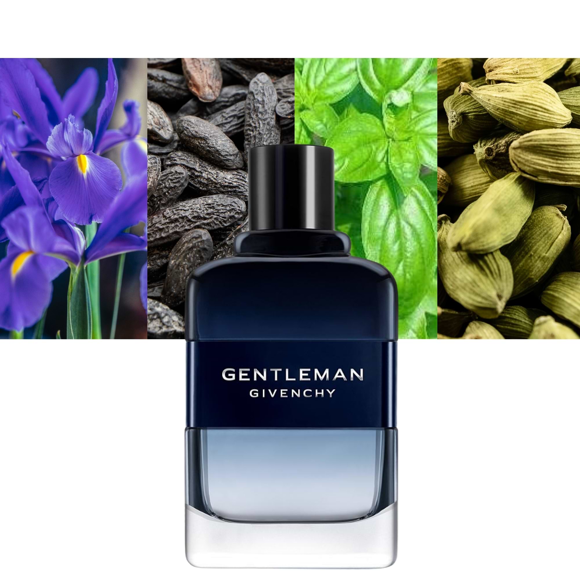 Givenchy Gentleman Intense