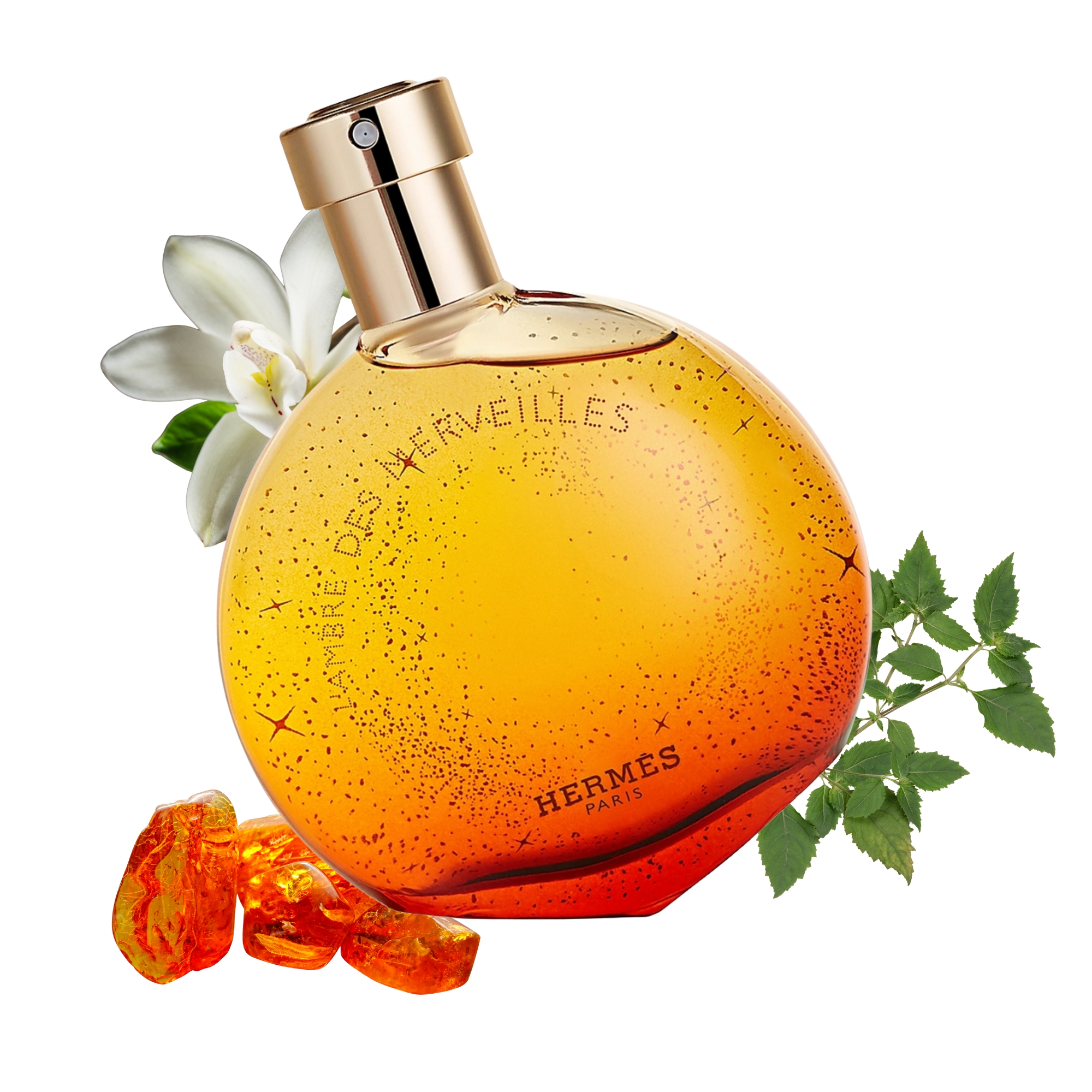 L'Ambre Des Merveilles 