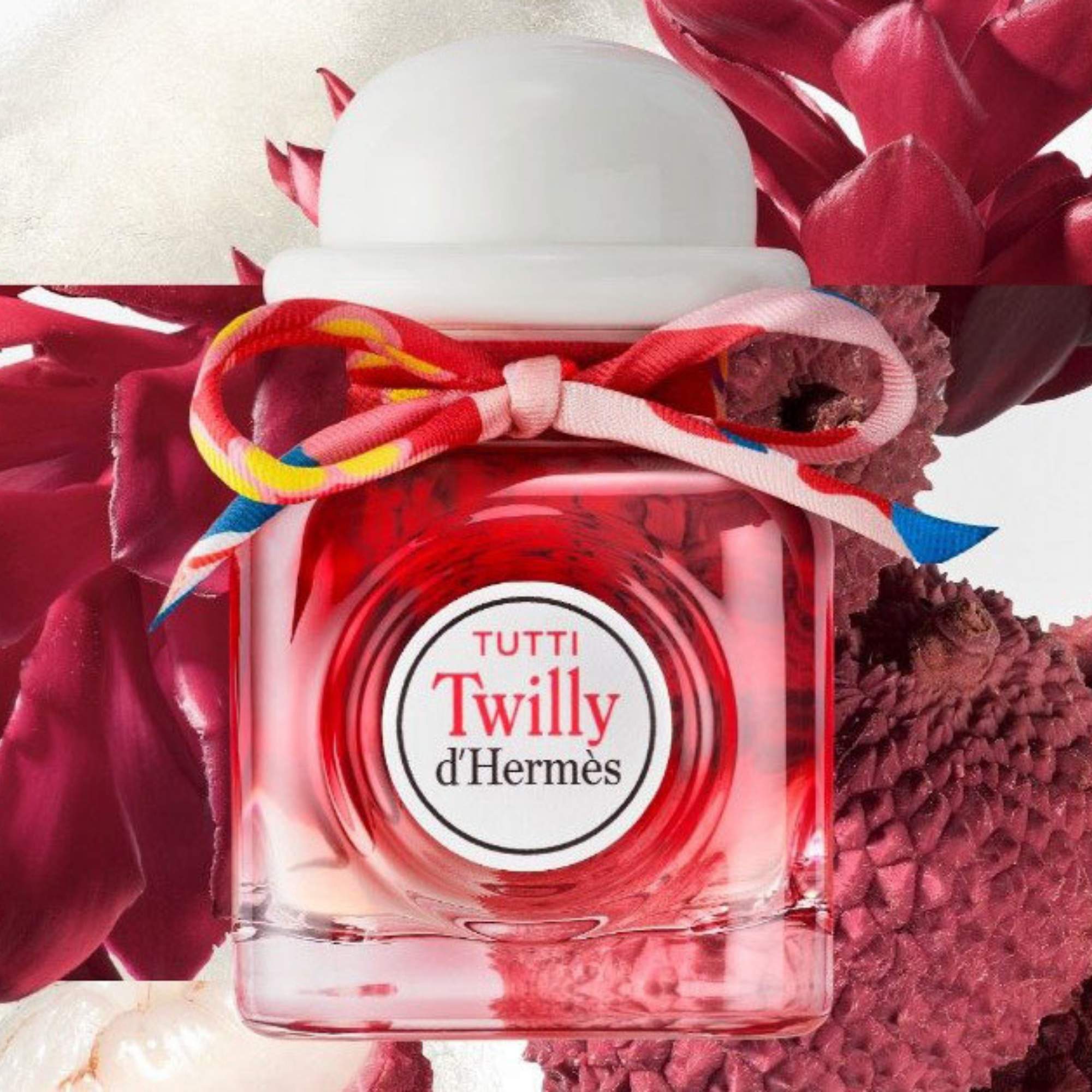 Twilly D' Tutti