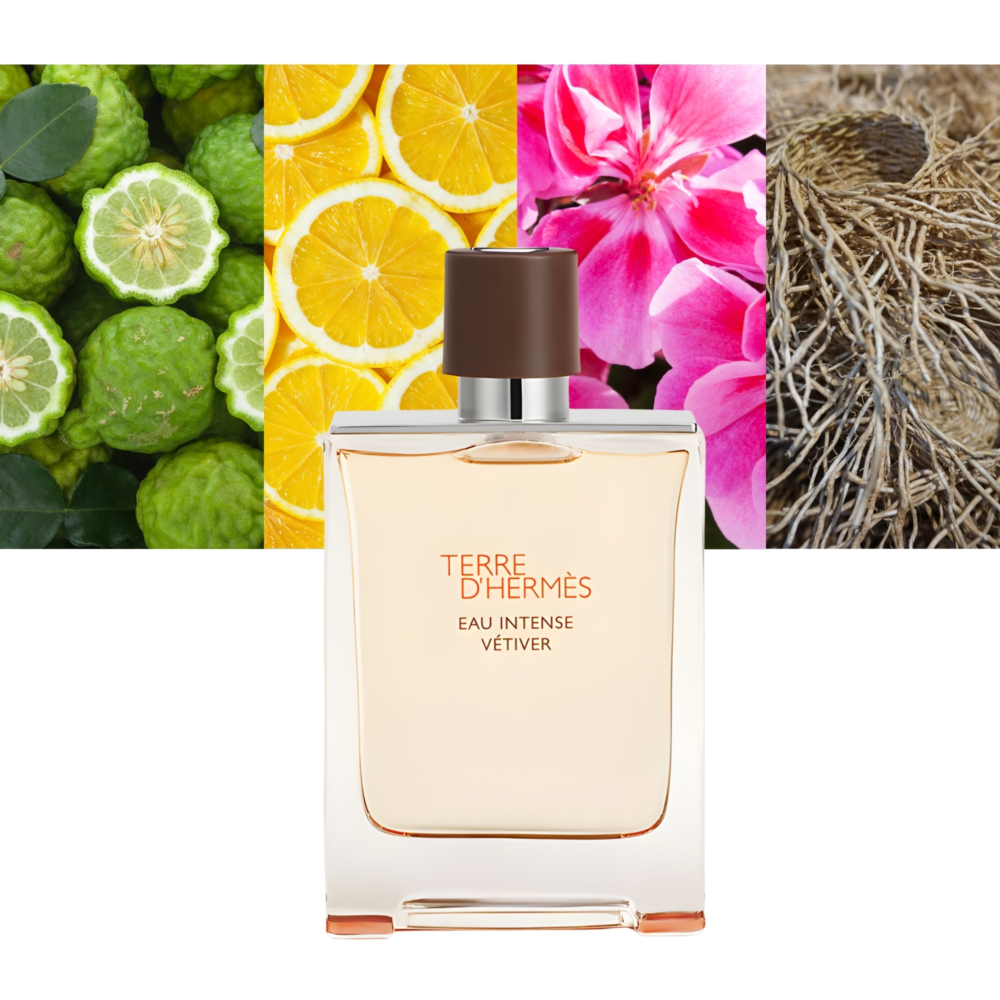 Terre D'Hermes Eau Intense Vetiver