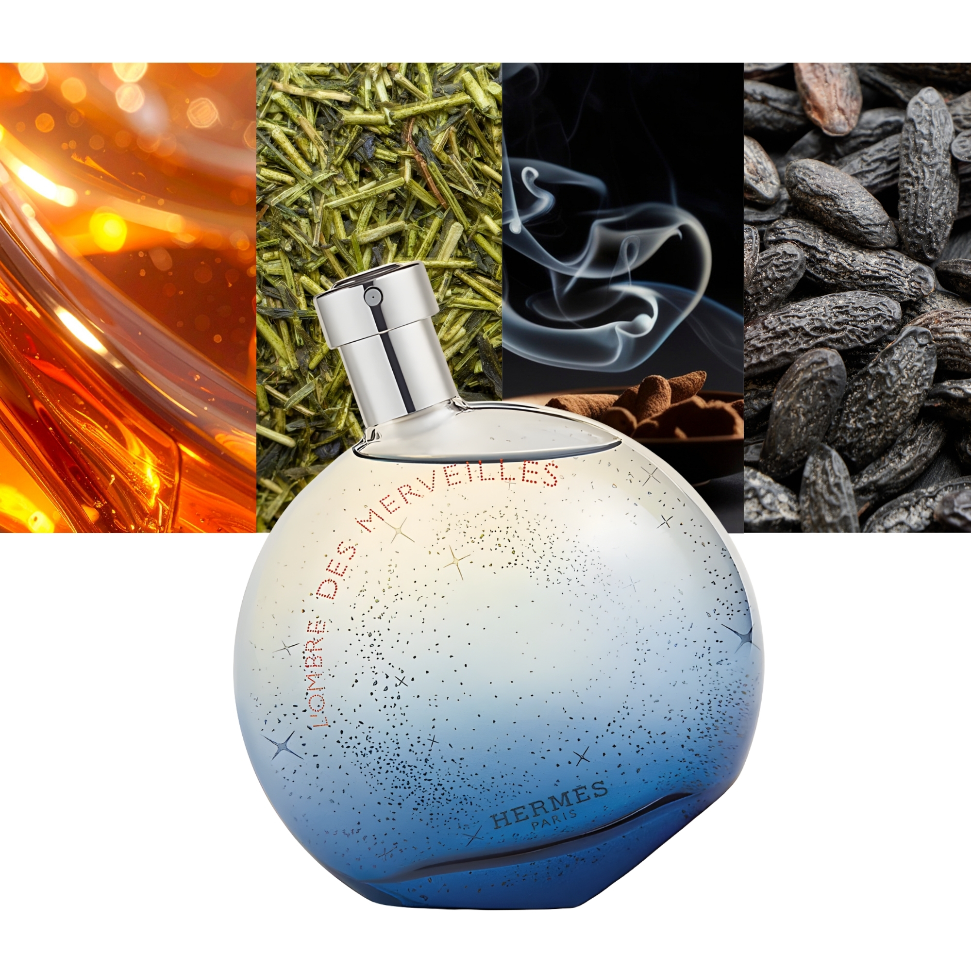 L'Ombre Des Merveilles 