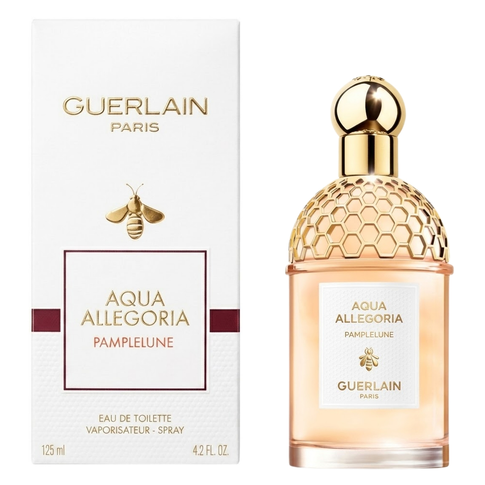 Aqua Allegoria Pamplelune