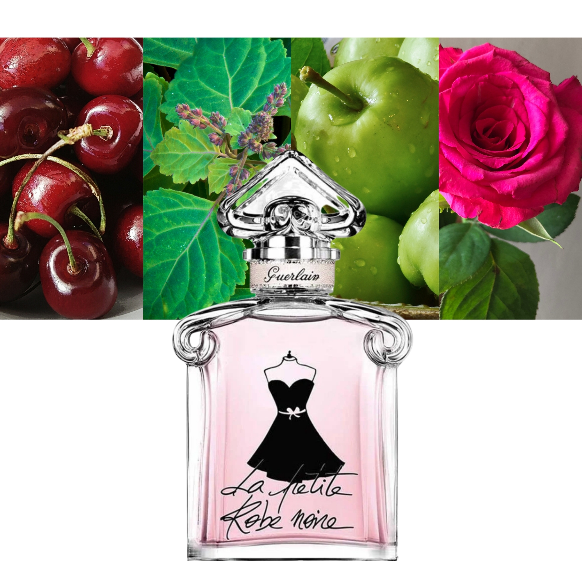 La Petite Robe Noire