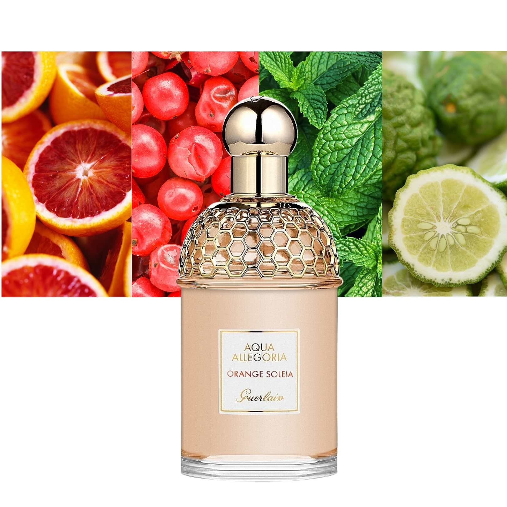 Aqua Allegoria Flora Rosa
