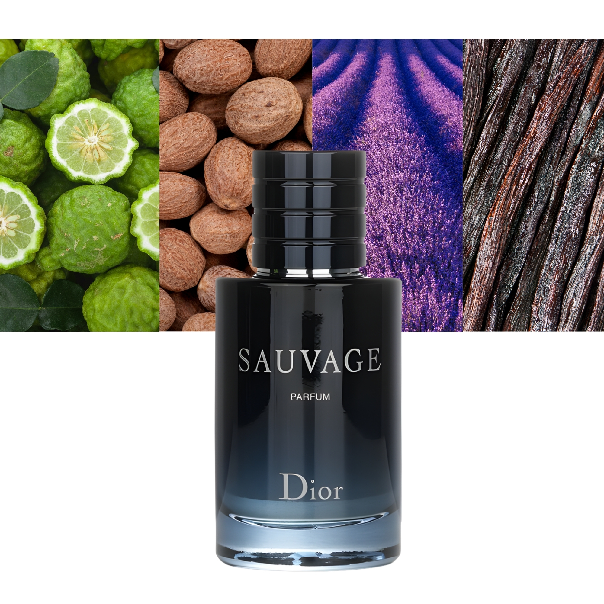 Sauvage