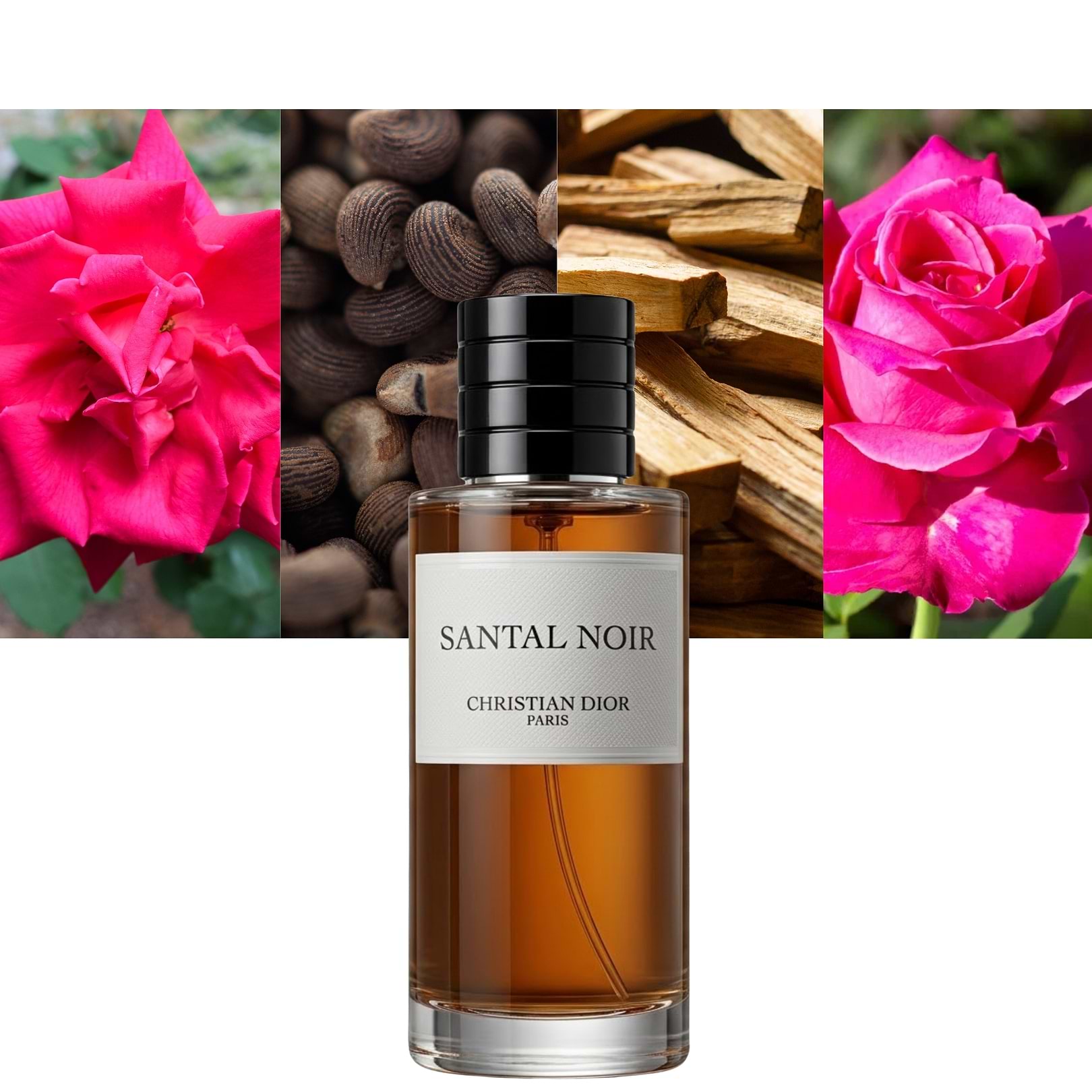 Santal Noir