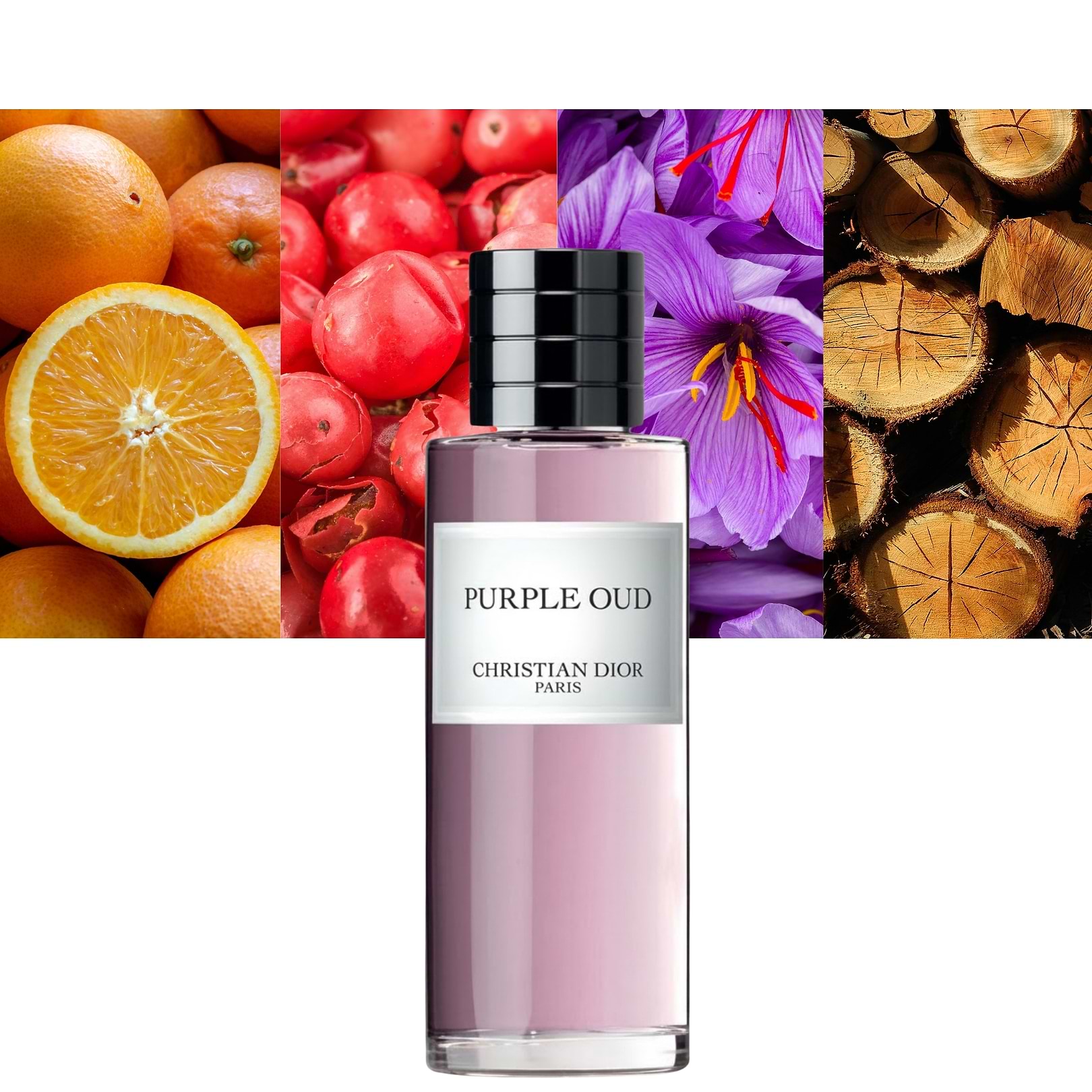 Purple Oud