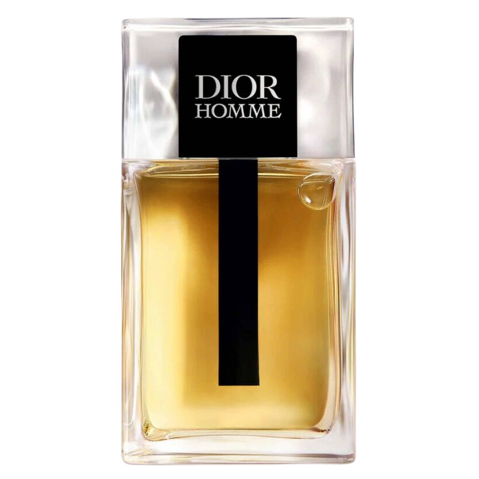Christian Dior Dior Homme
