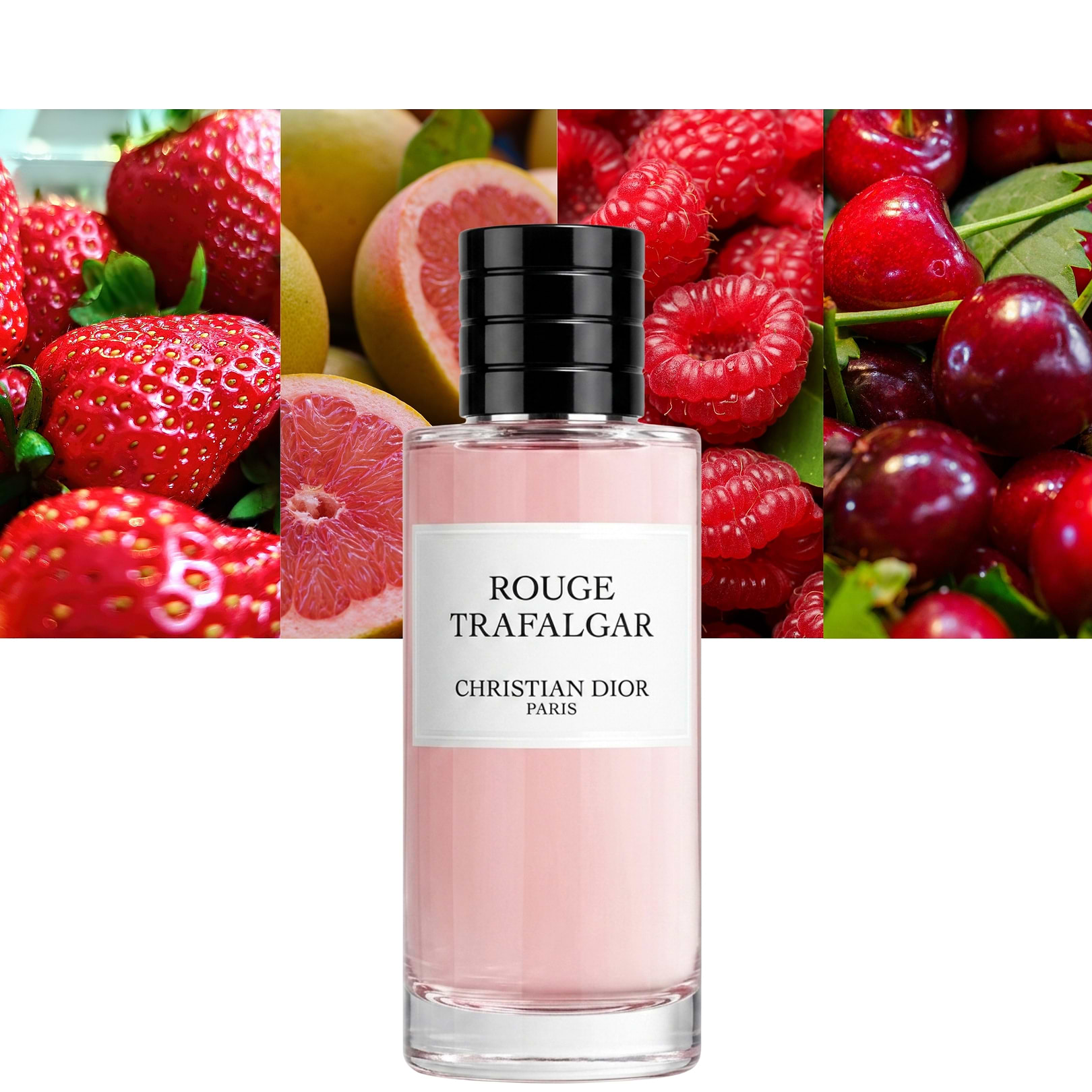 Rouge Trafalgar