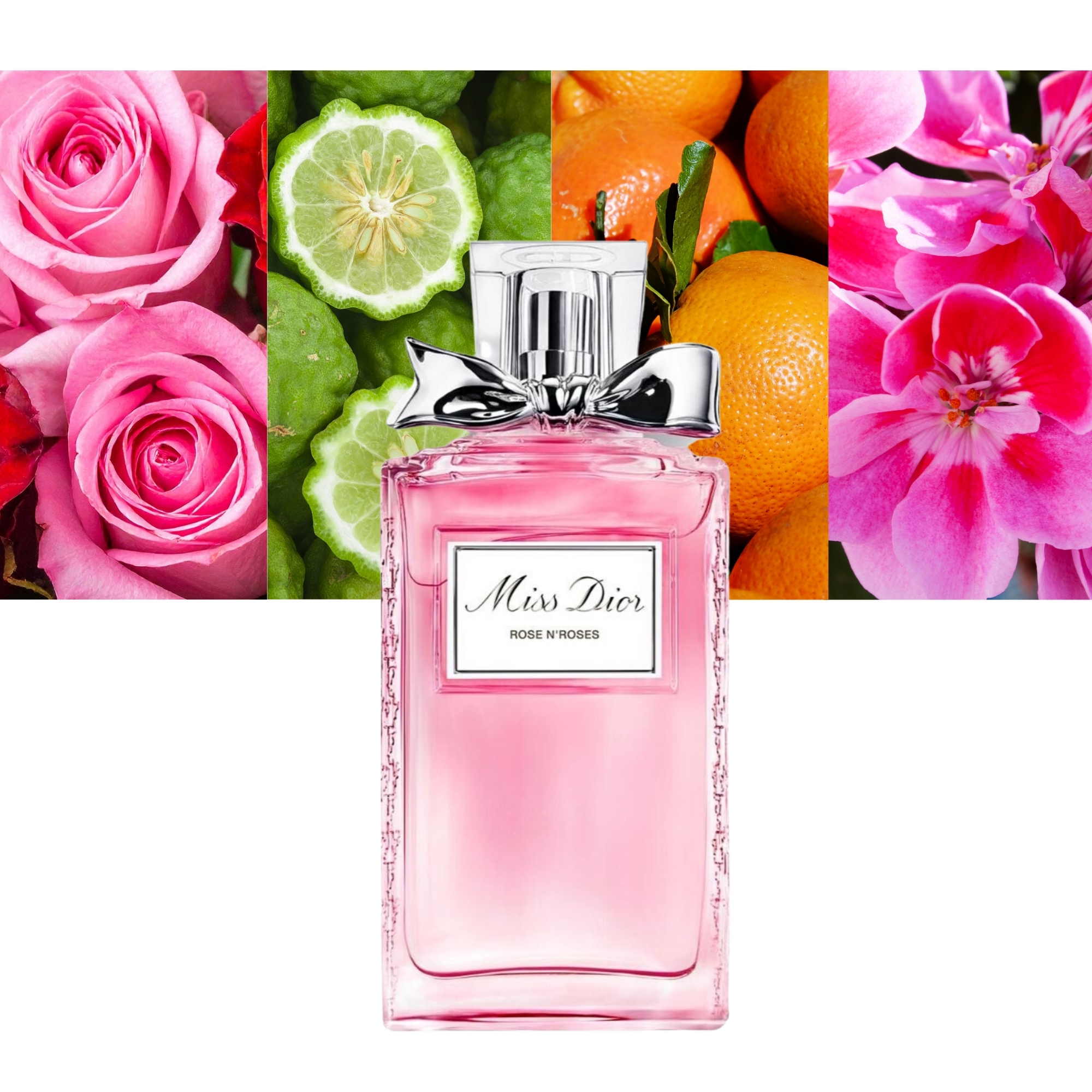 Miss Dior Rose N'roses