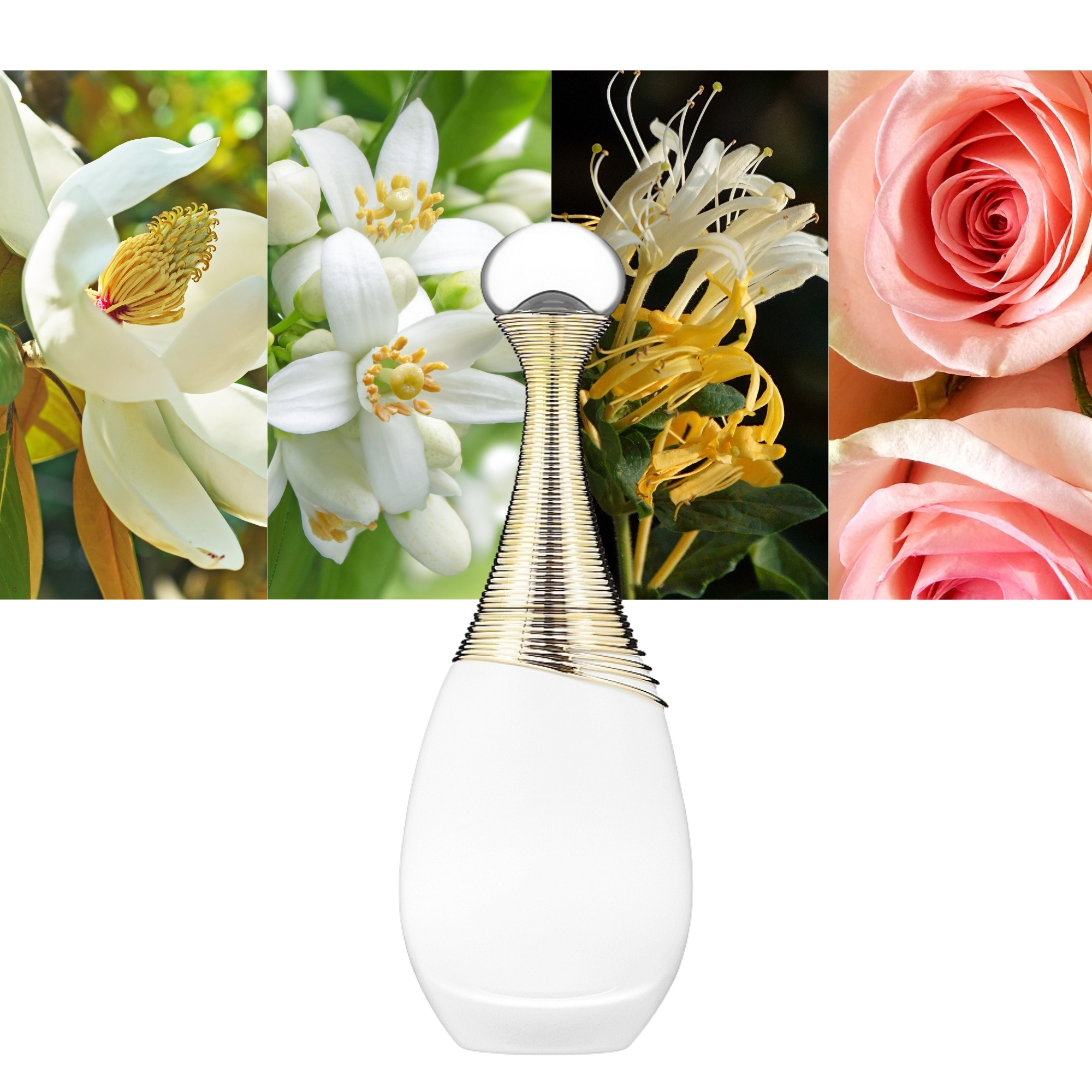 J'adore Parfum d'Eau