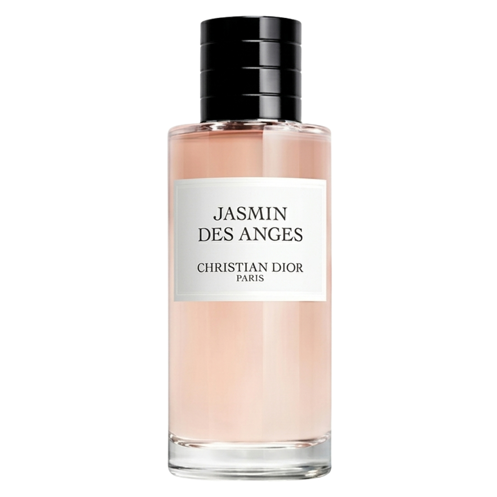 Jasmin Des Anges