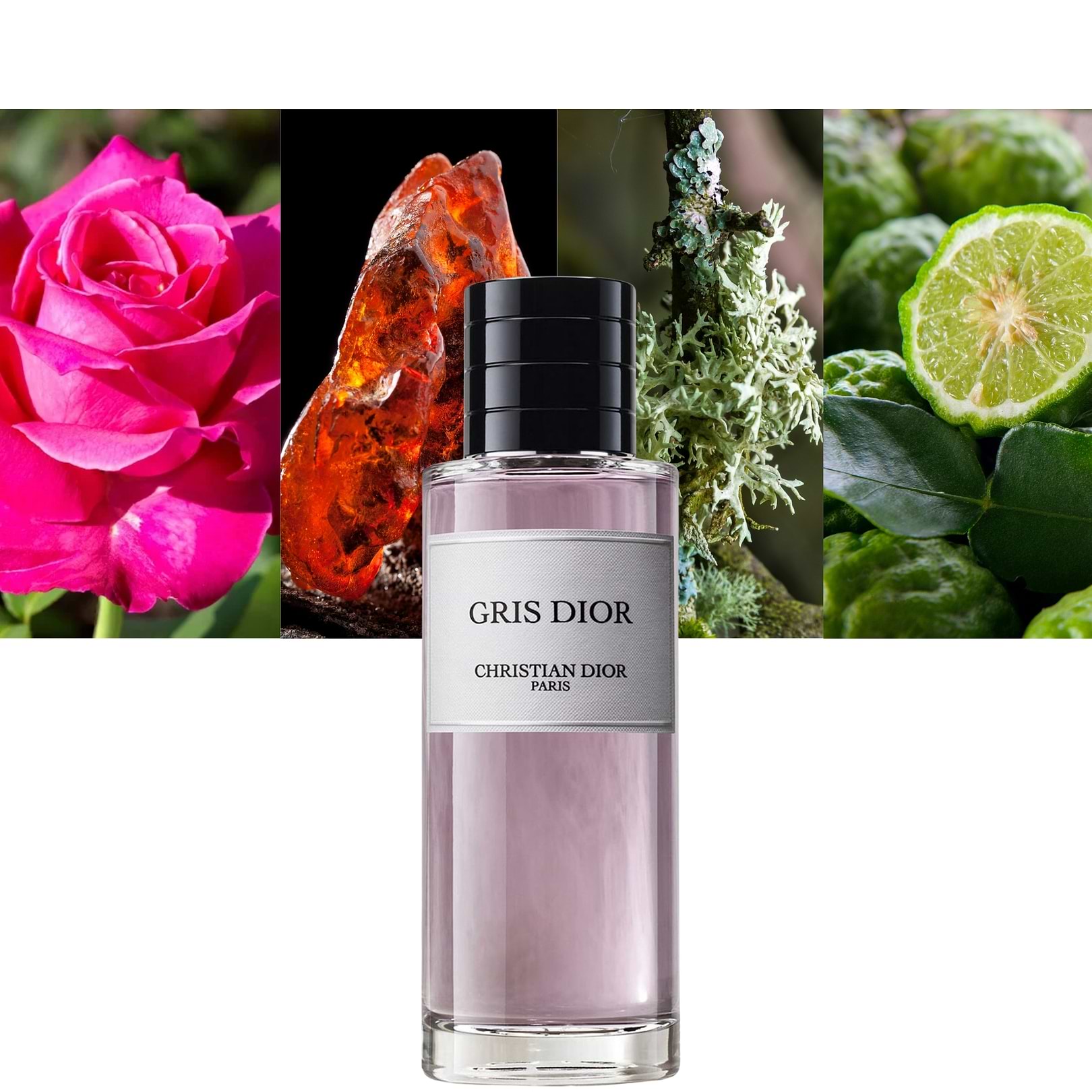 Gris Dior