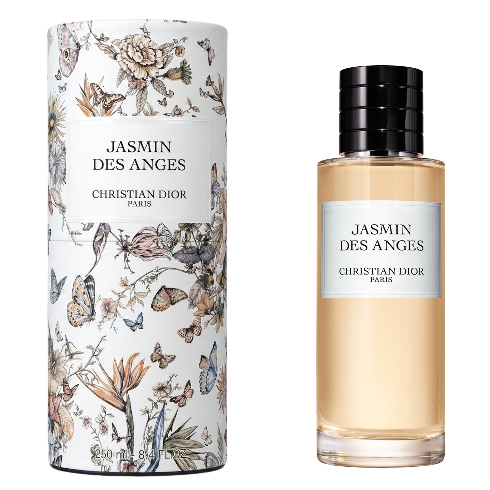 Jasmin Des Anges