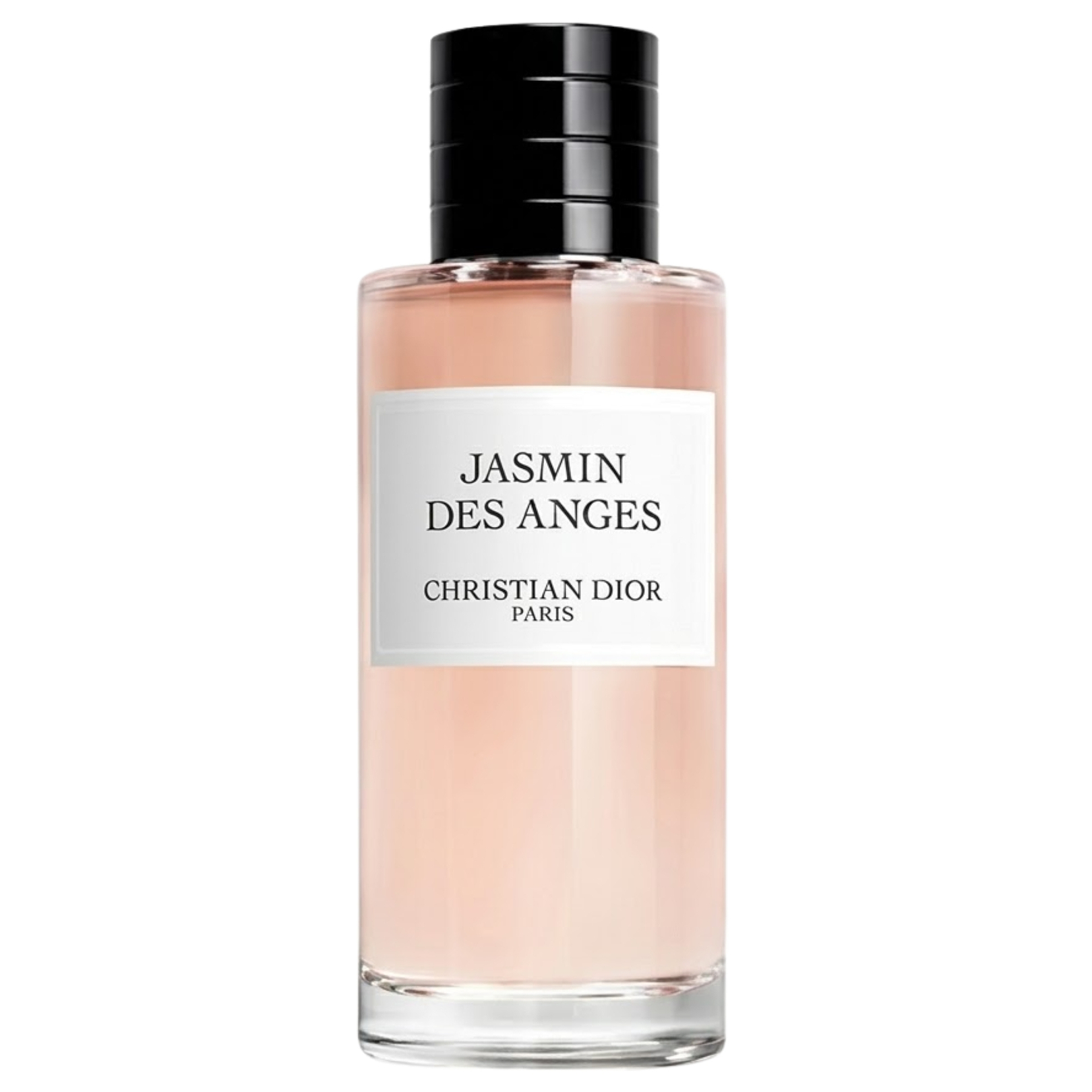 Jasmin Des Anges
