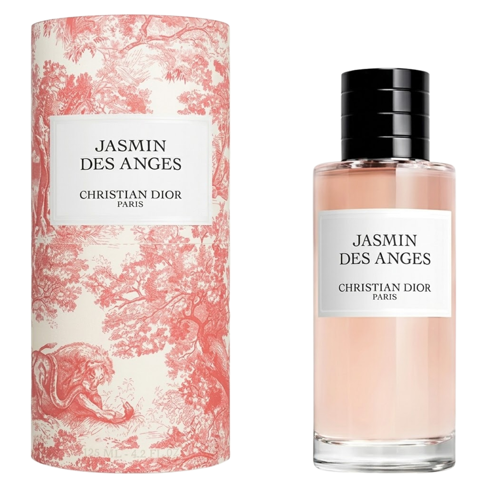 Jasmin Des Anges