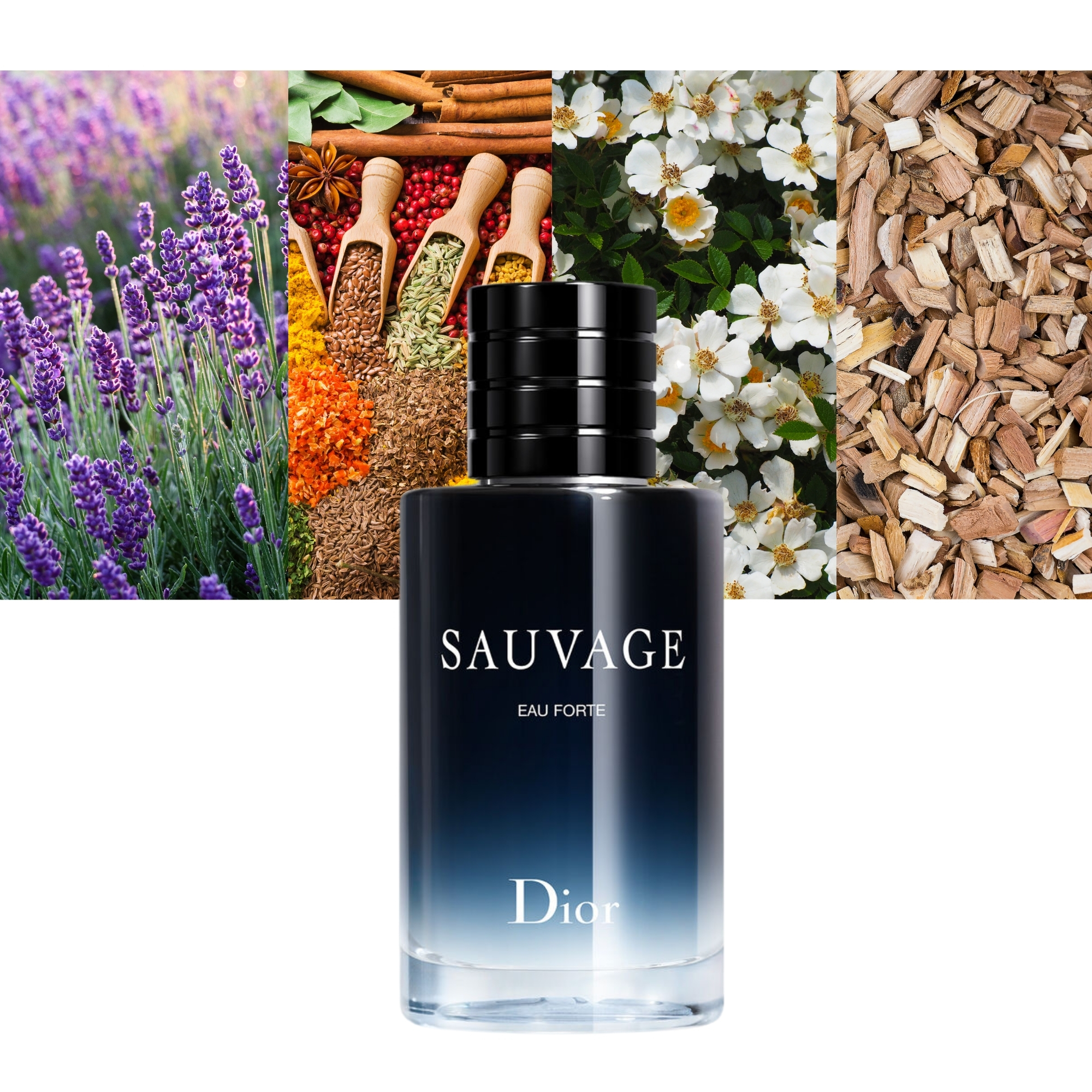 Sauvage Eau Forte