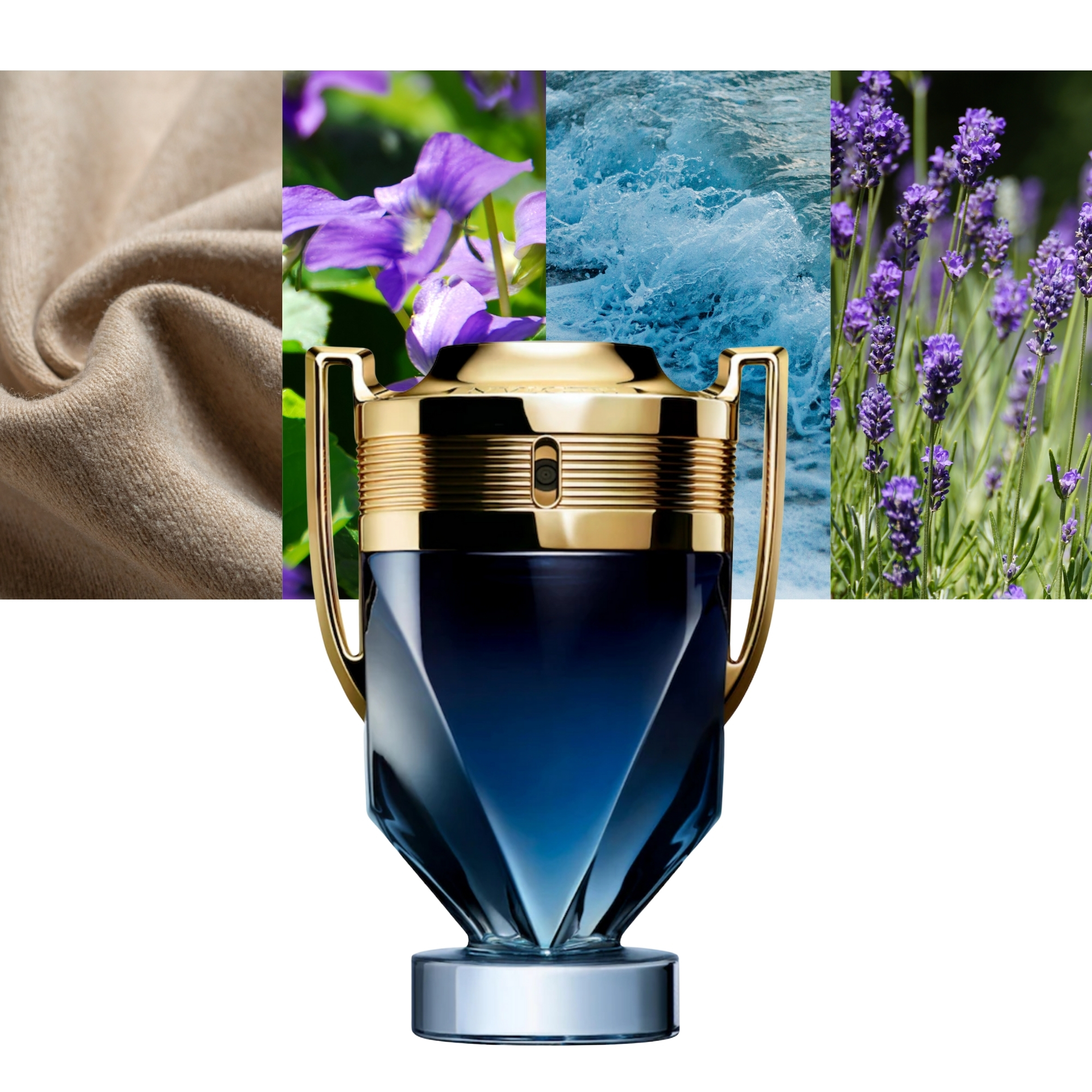 Invictus Parfum