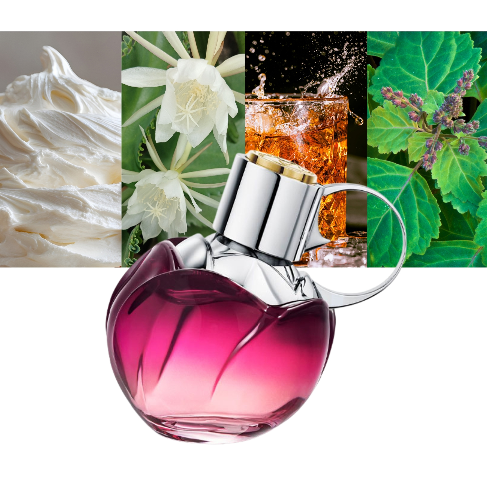 Wanted Girl By Night