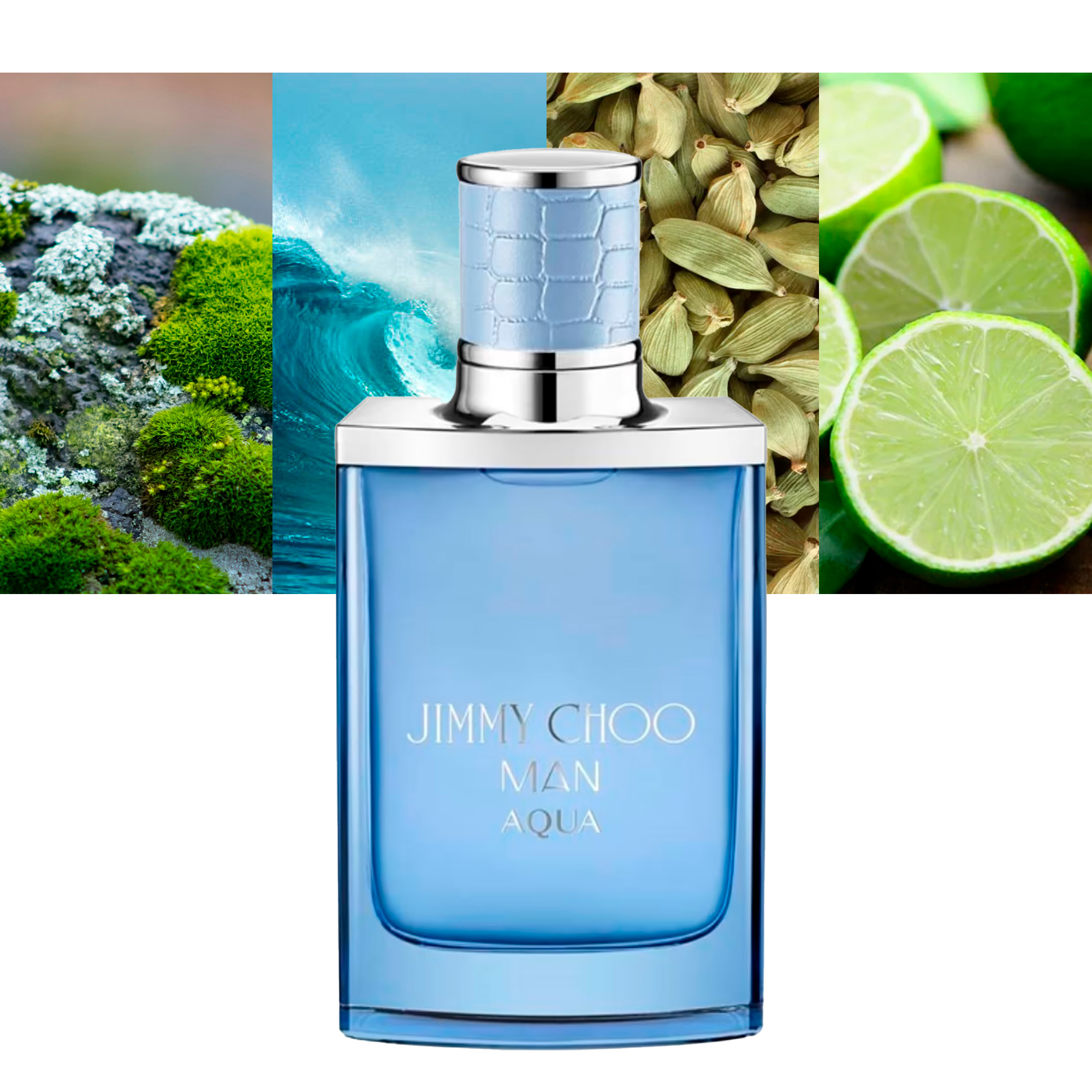 Jimmy Choo Man Aqua 