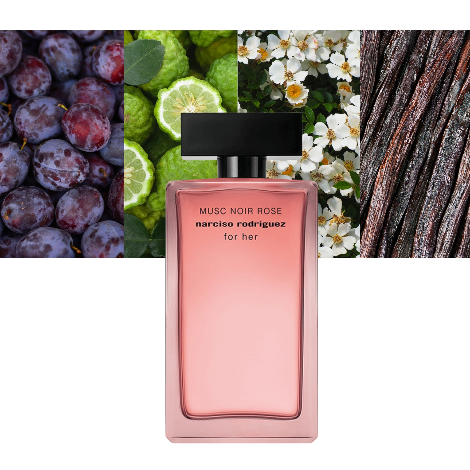 For Her Musc Noir Rose