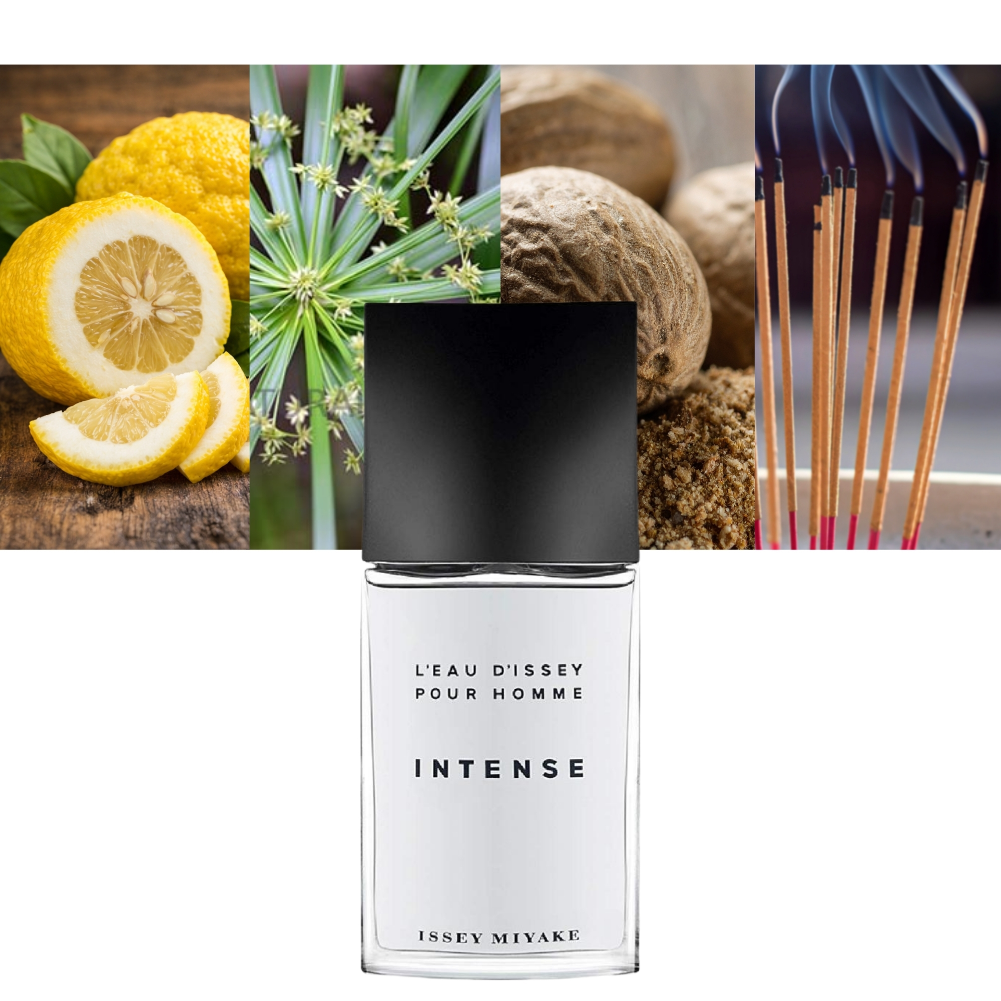L'eau D'issey Intense