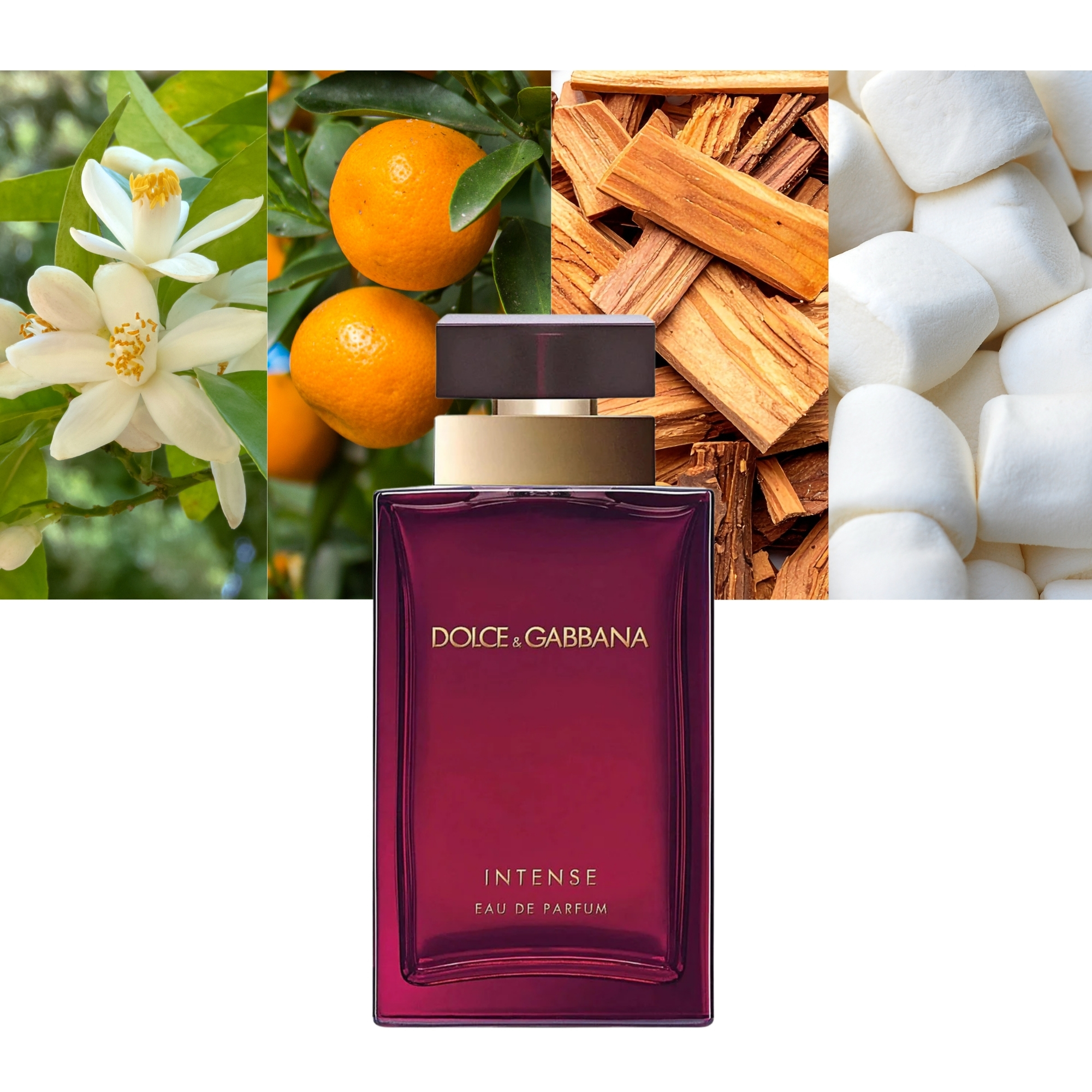 Dolce & Gabbana Pour Femme Intense