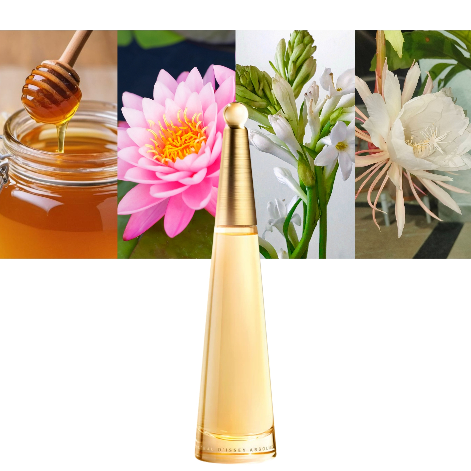 L'eau D'issey Absolue